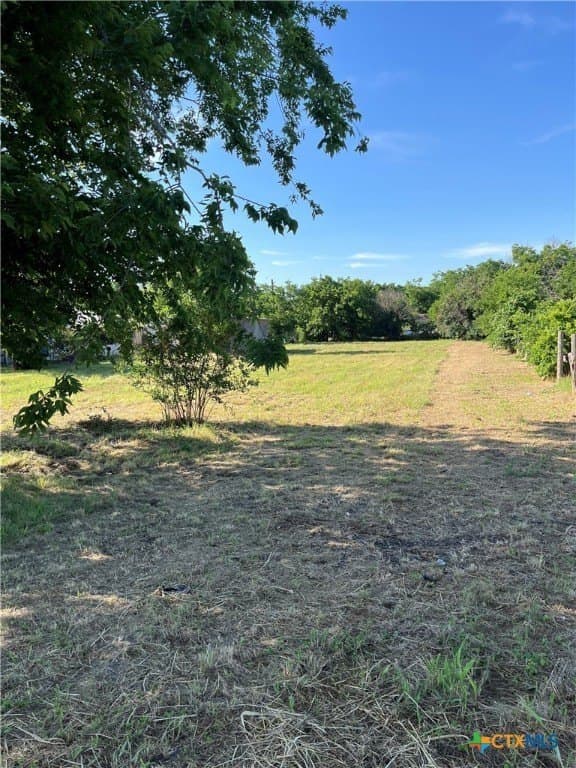 0.33 acres in Guadalupe County gallery image 3