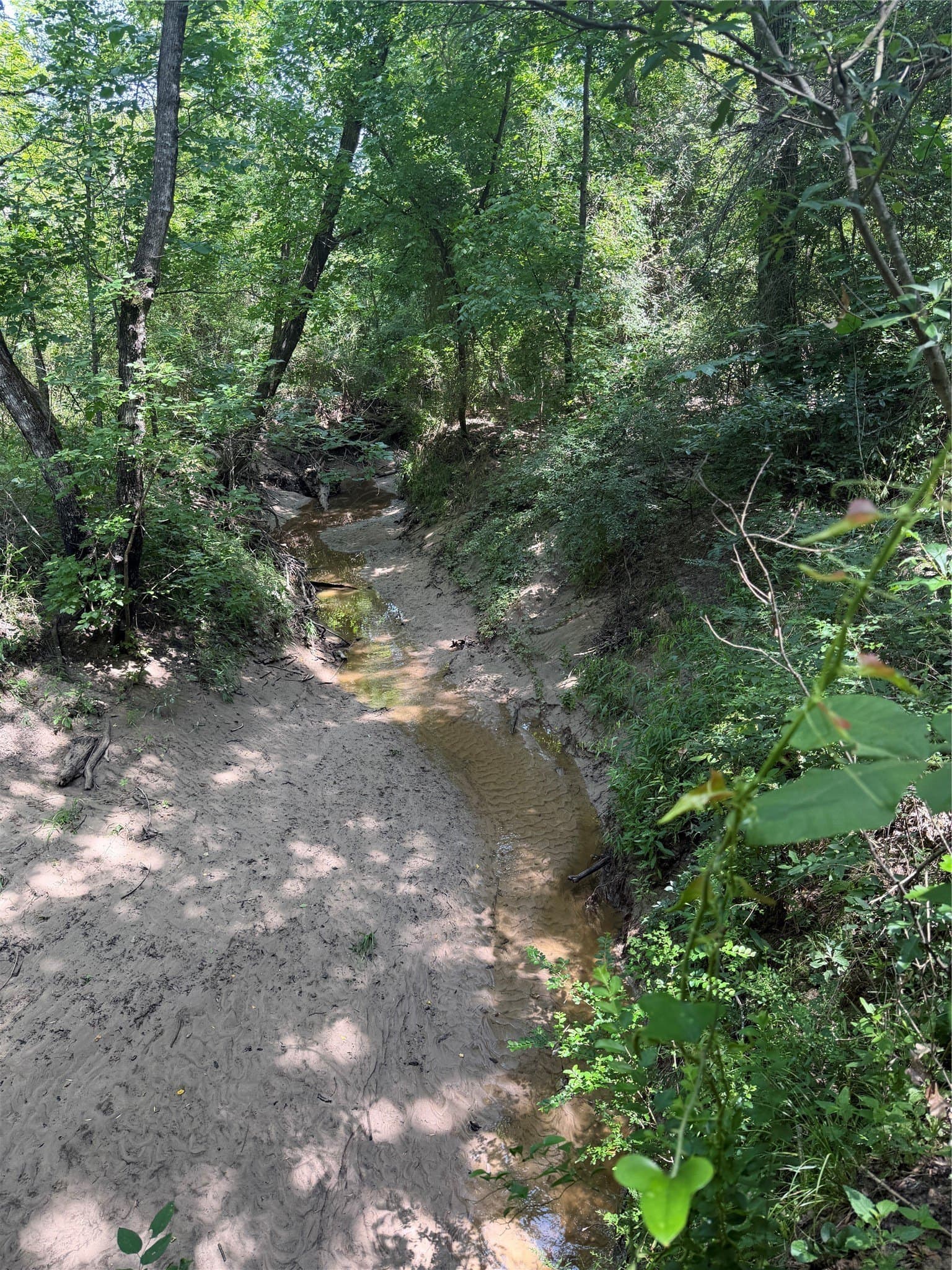 11 acres in Hunt County - photo 13
