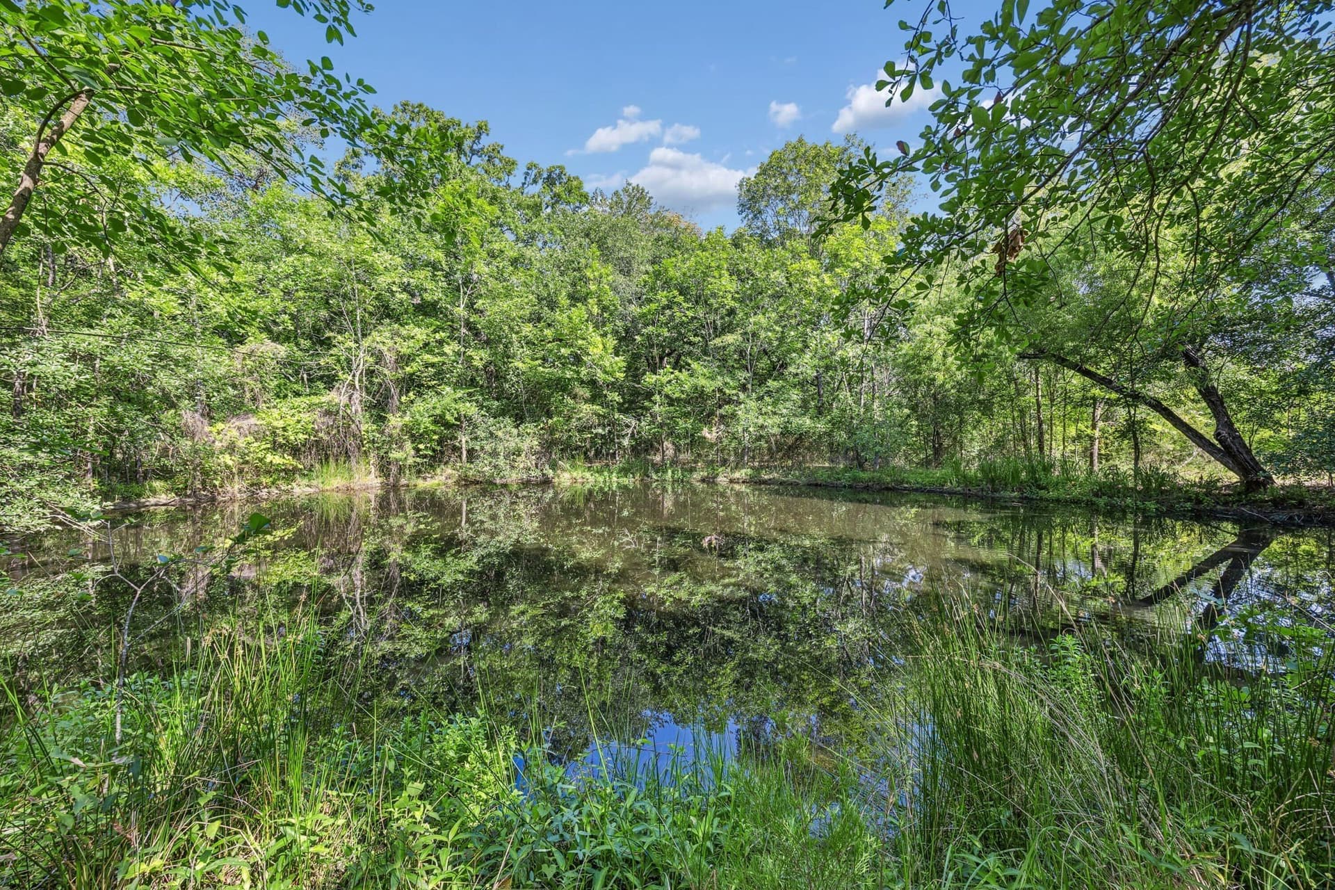 11 acres in Hunt County - photo 6