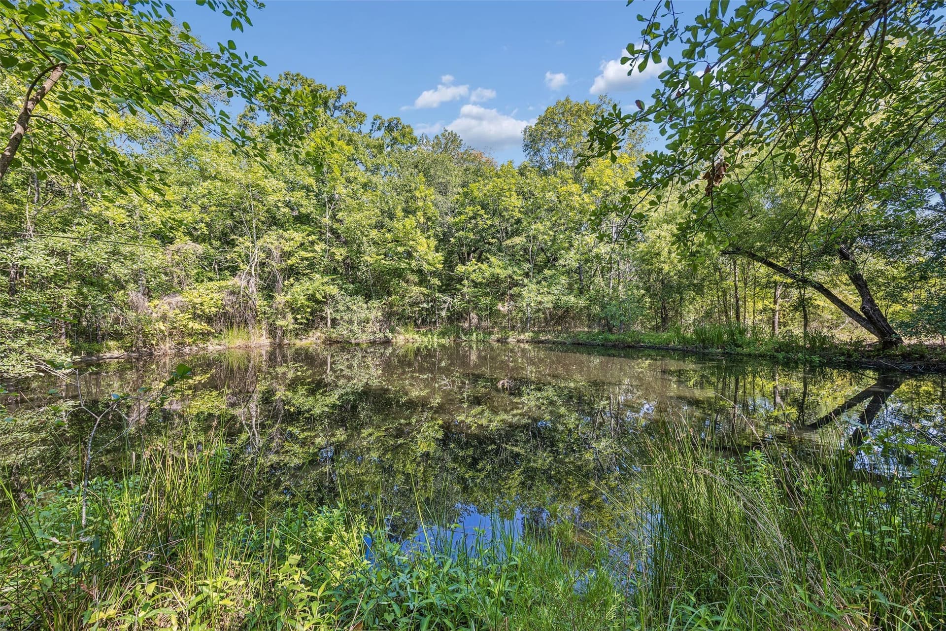 11 acres in Hunt County gallery image 2
