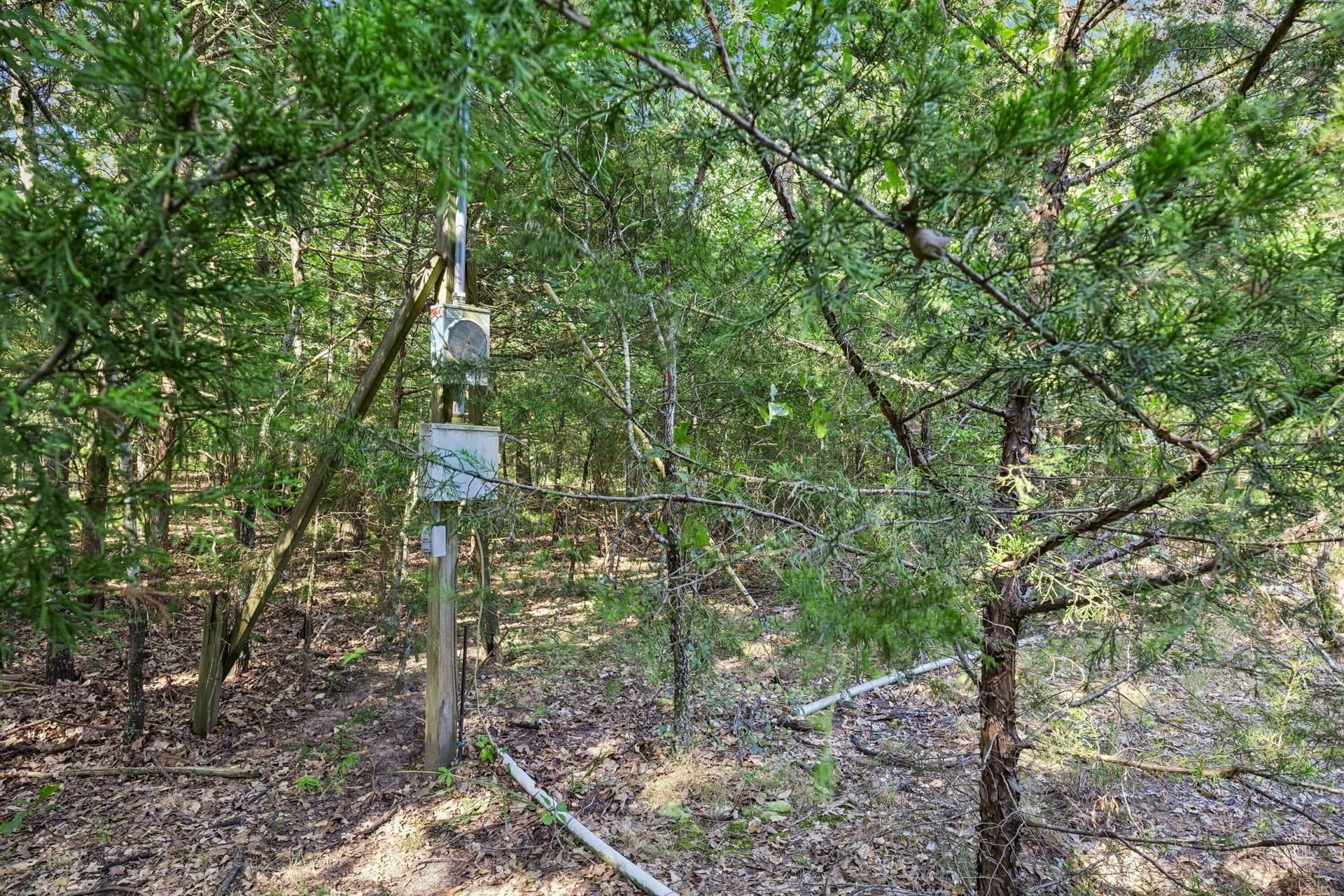 11 acres in Hunt County - photo 3