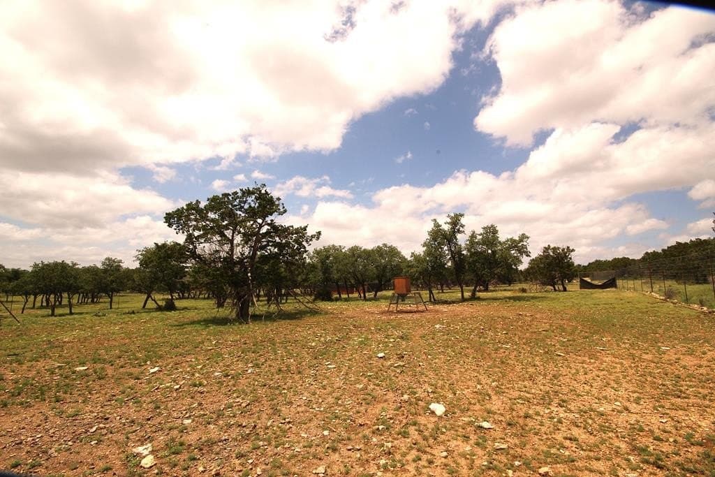 180 acres in Kerr County - photo 9