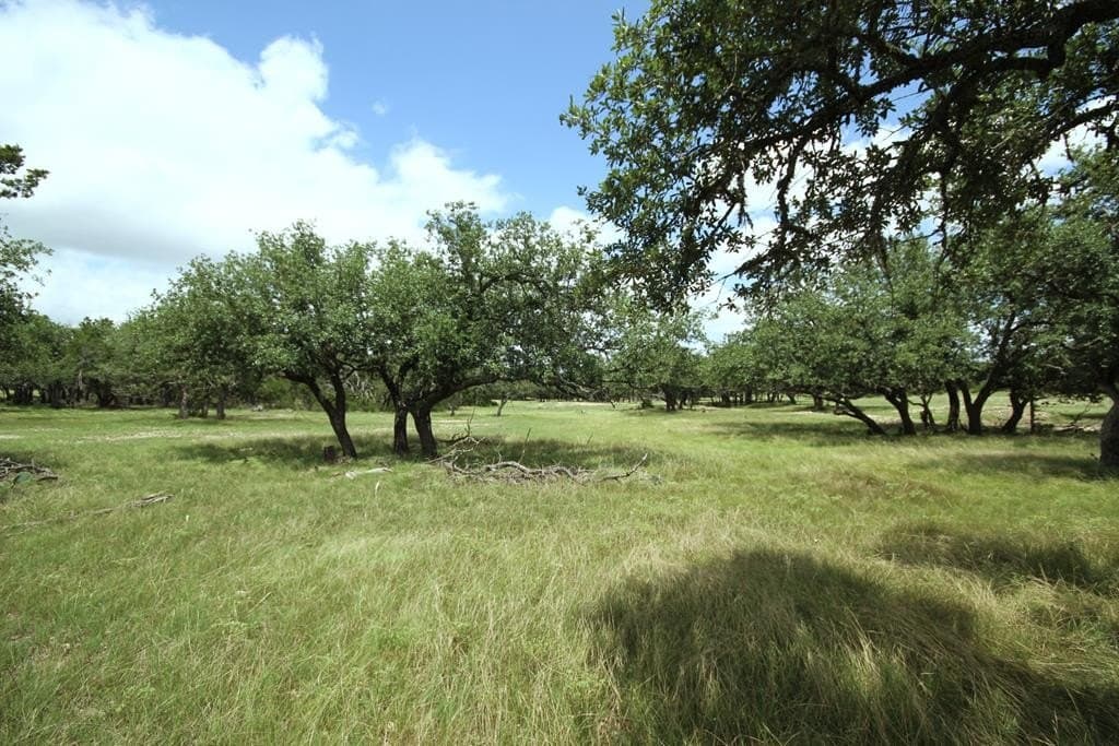 180 acres in Kerr County - photo 16