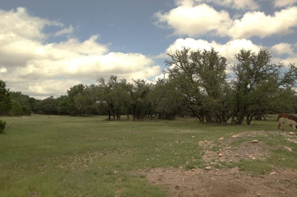 180 acres in Kerr County - photo 17