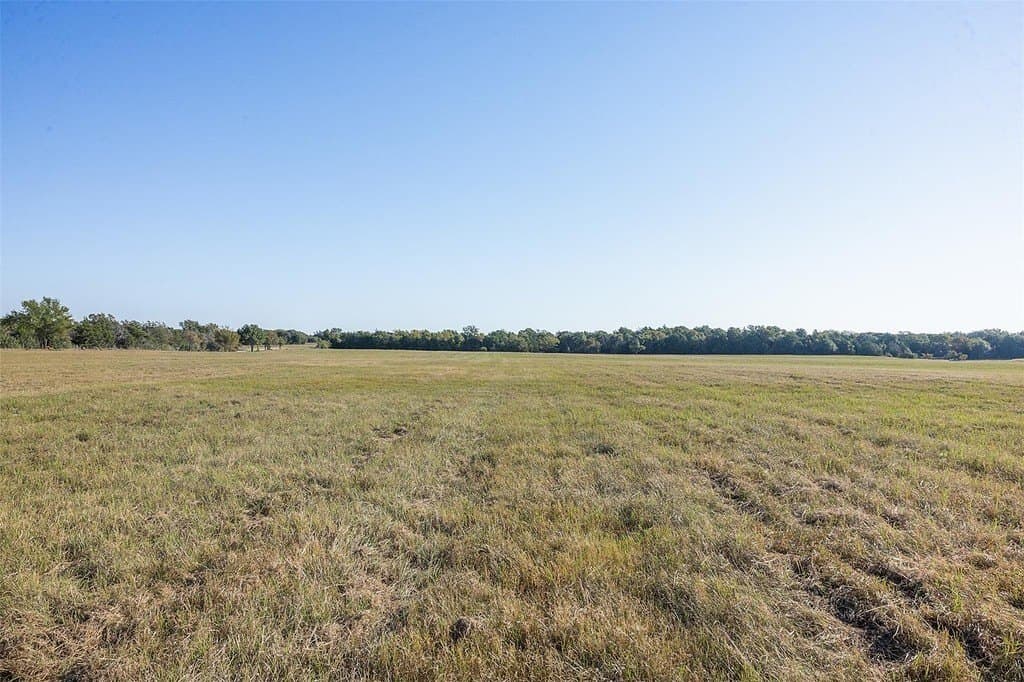 20 acres in Limestone County gallery image 4
