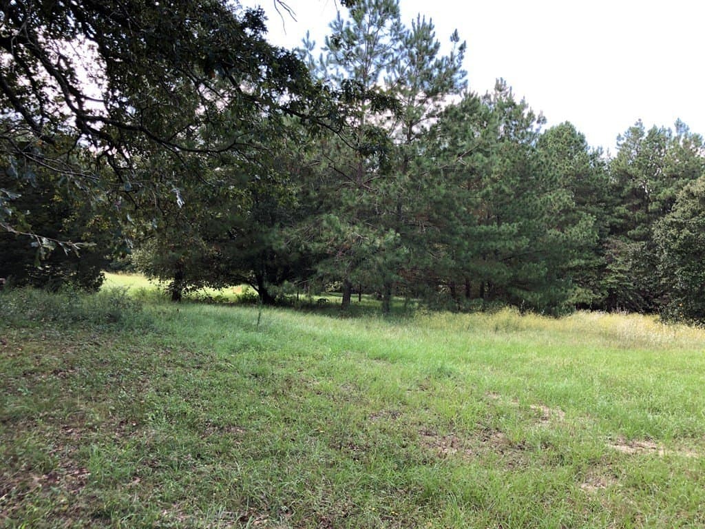 10.3 acres in Texas County gallery image 4