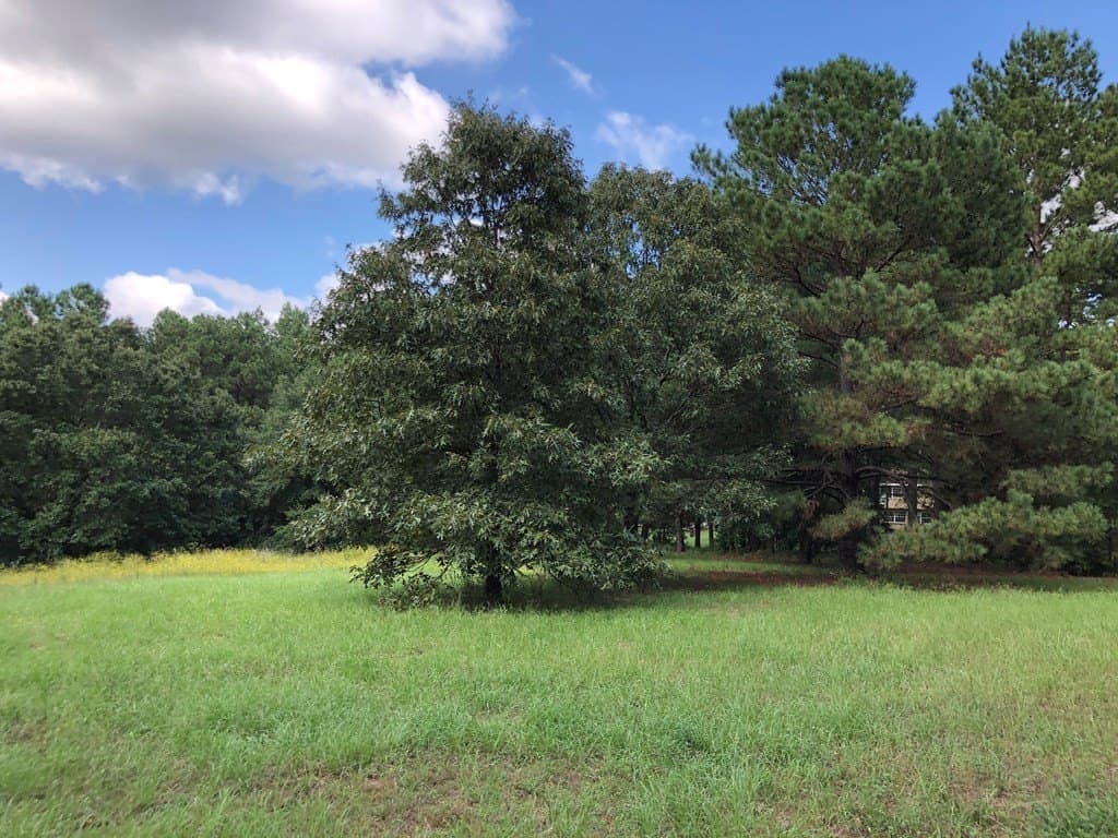 10.3 acres in Texas County featured view