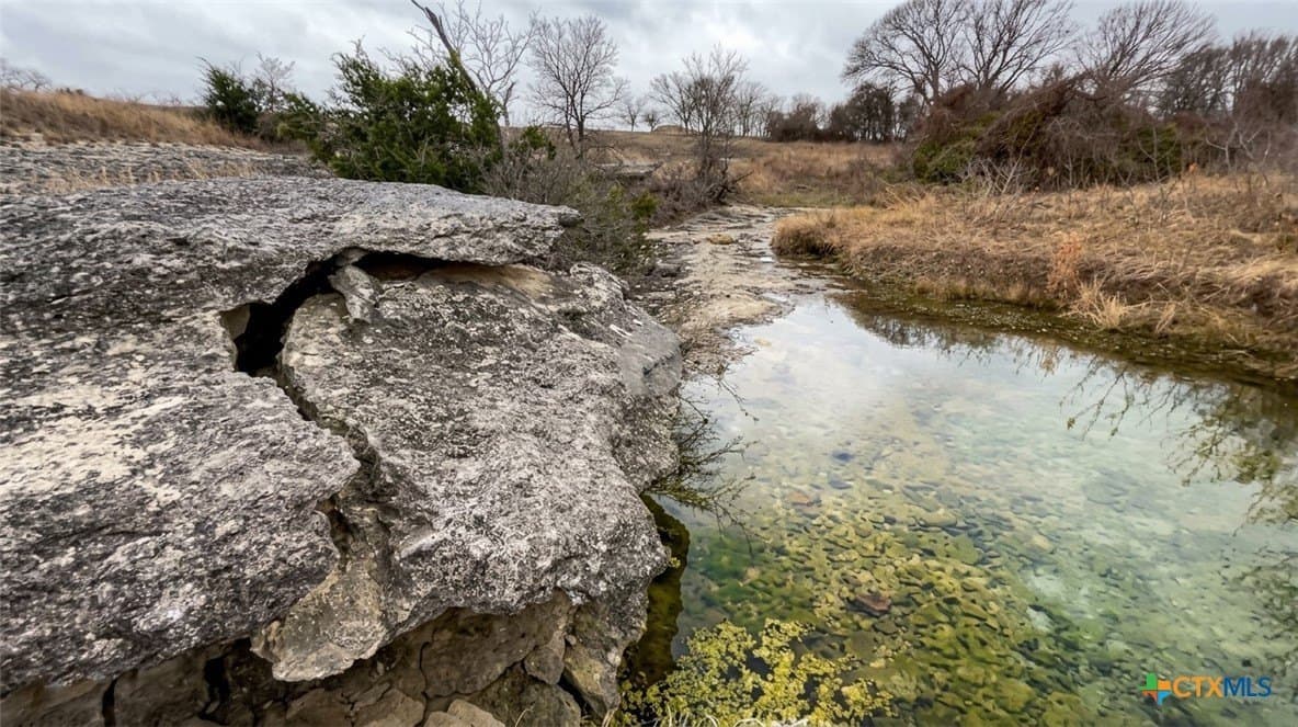 72.8 acres in Bell County - photo 5
