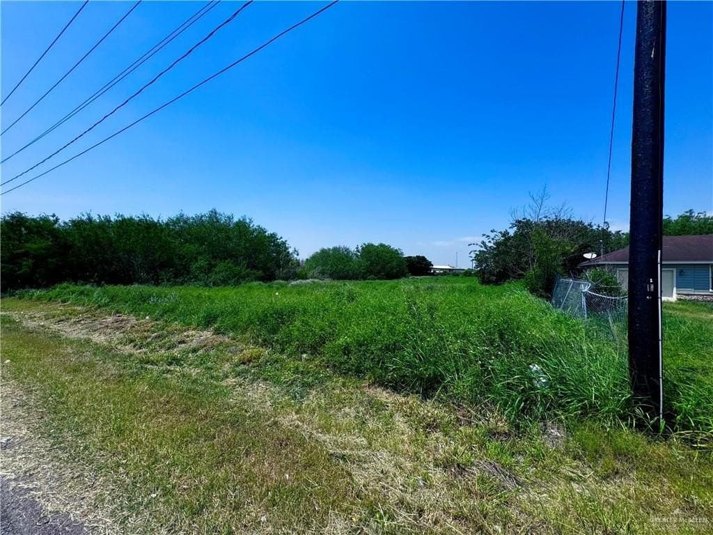 0.54 acres in Hidalgo County gallery image 3