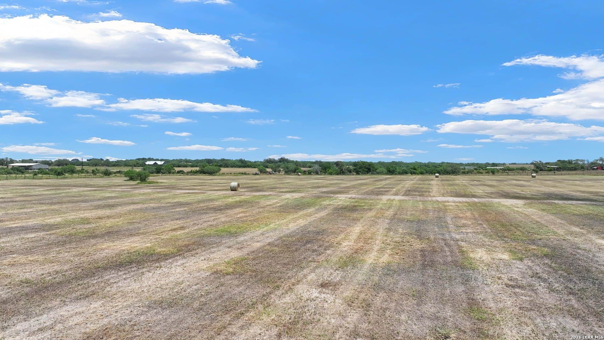 22.01 acres in Wilson County gallery image 4