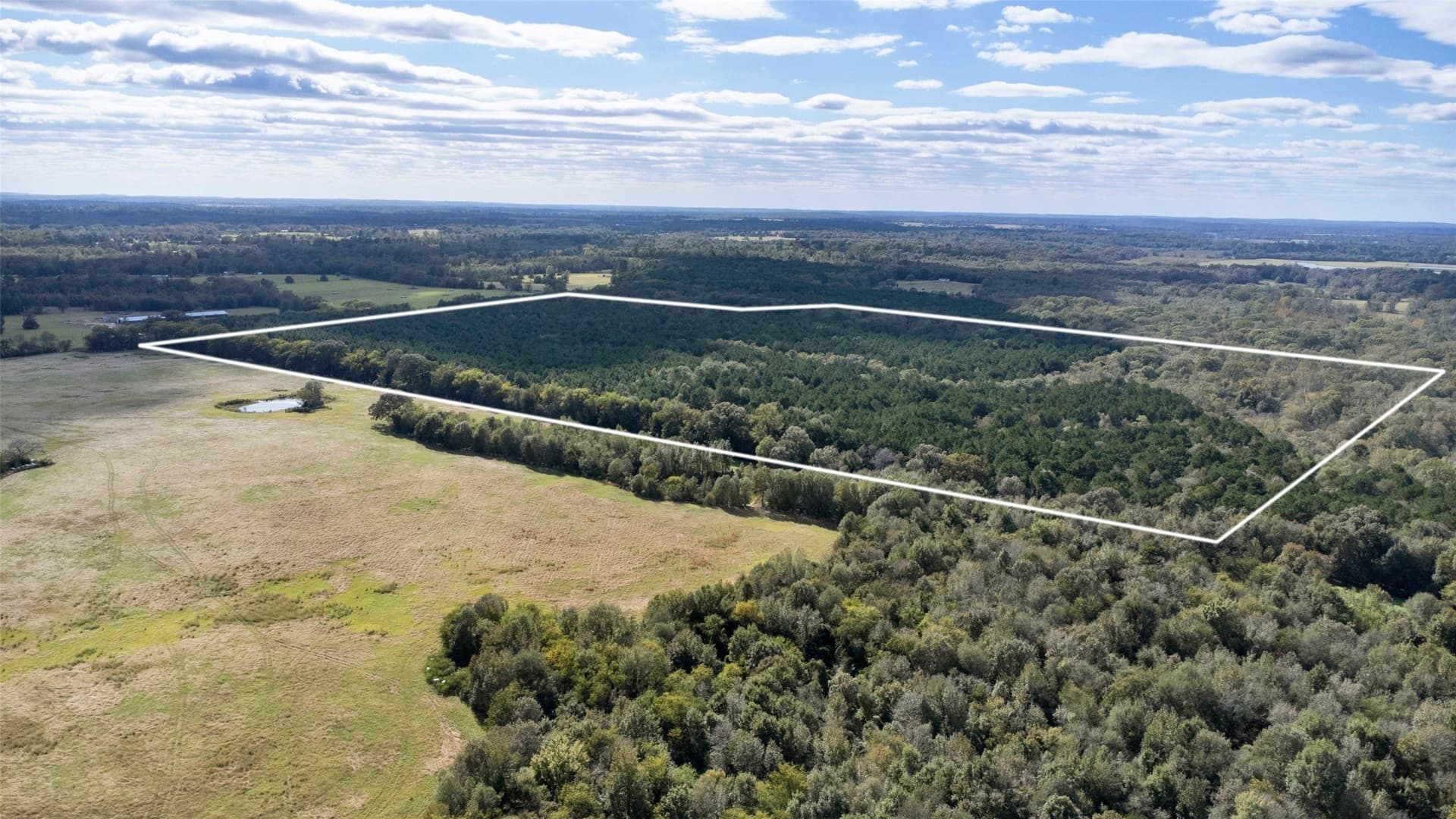 95.04 acres in Upshur County - photo 15