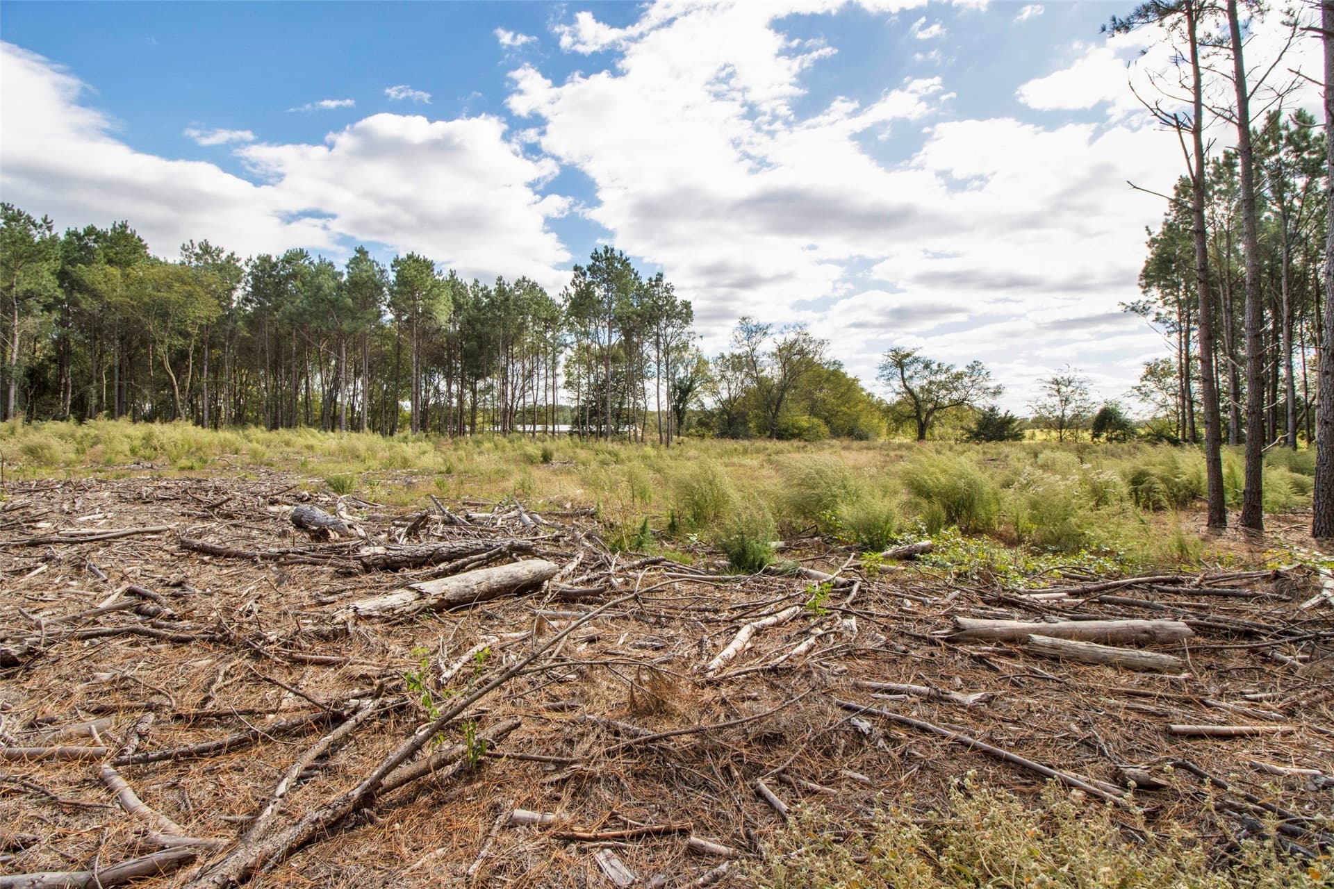 95.04 acres in Upshur County - photo 17