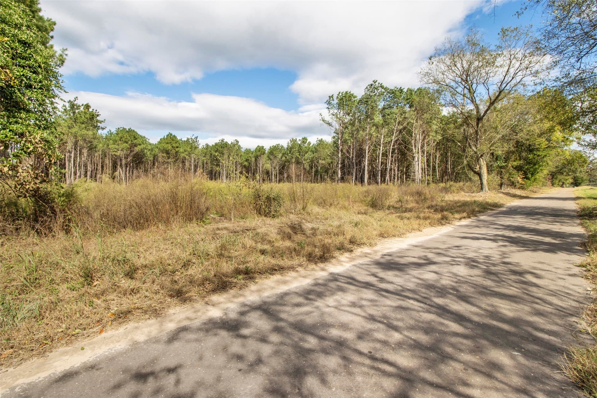 95.04 acres in Upshur County - photo 13