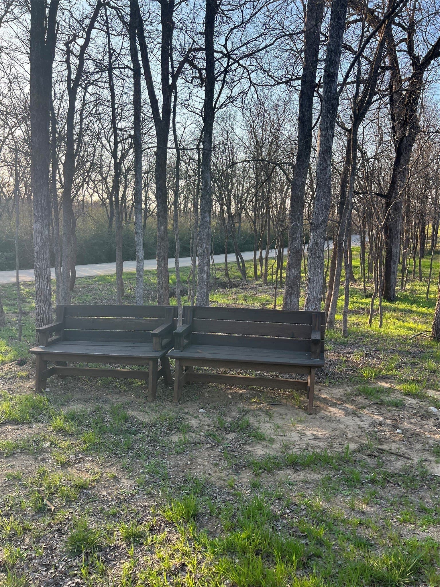 0.31 acres in Denton County - photo 8
