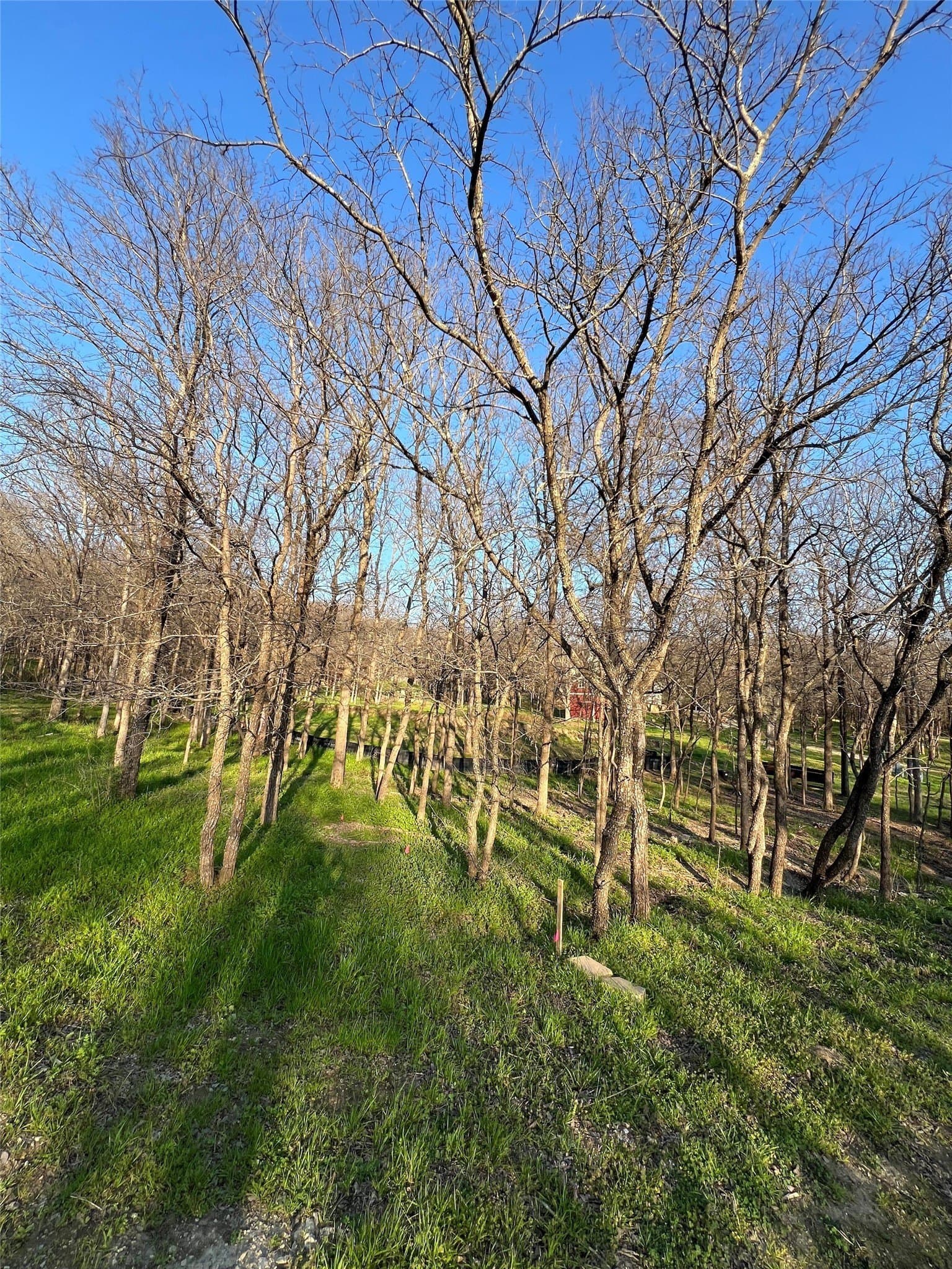 0.31 acres in Denton County - photo 6
