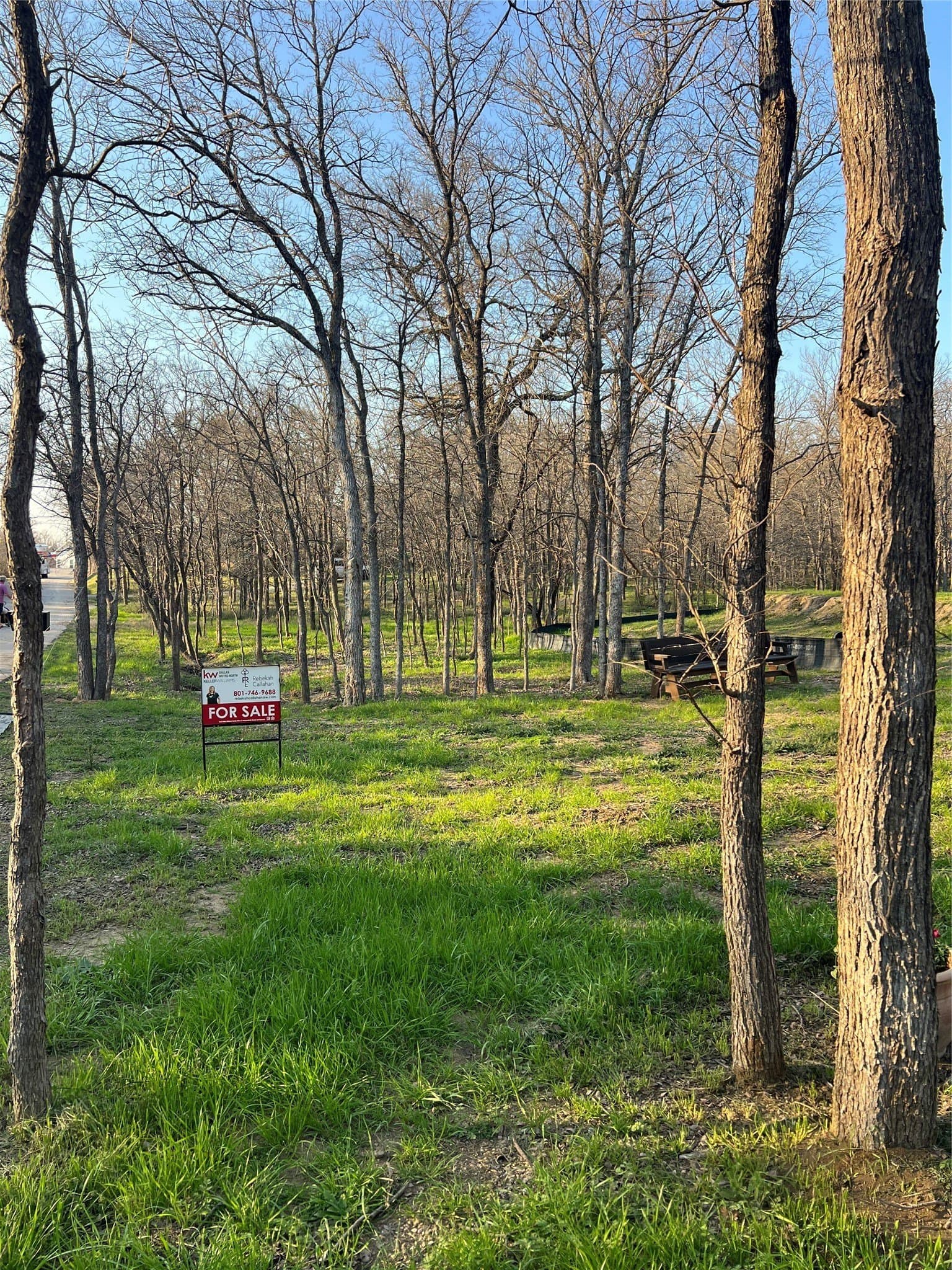0.31 acres in Denton County - photo 11