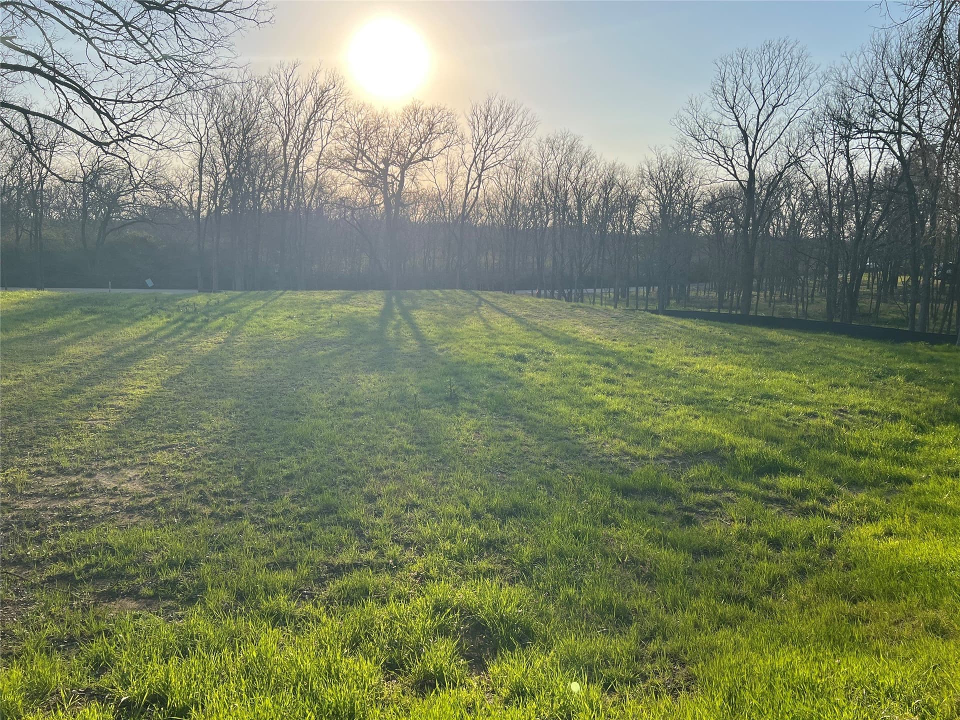 0.31 acres in Denton County - photo 9