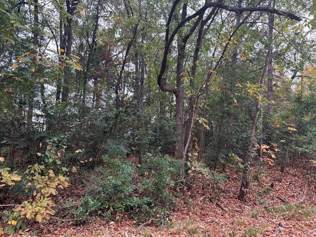 0.12 acres in Henderson County