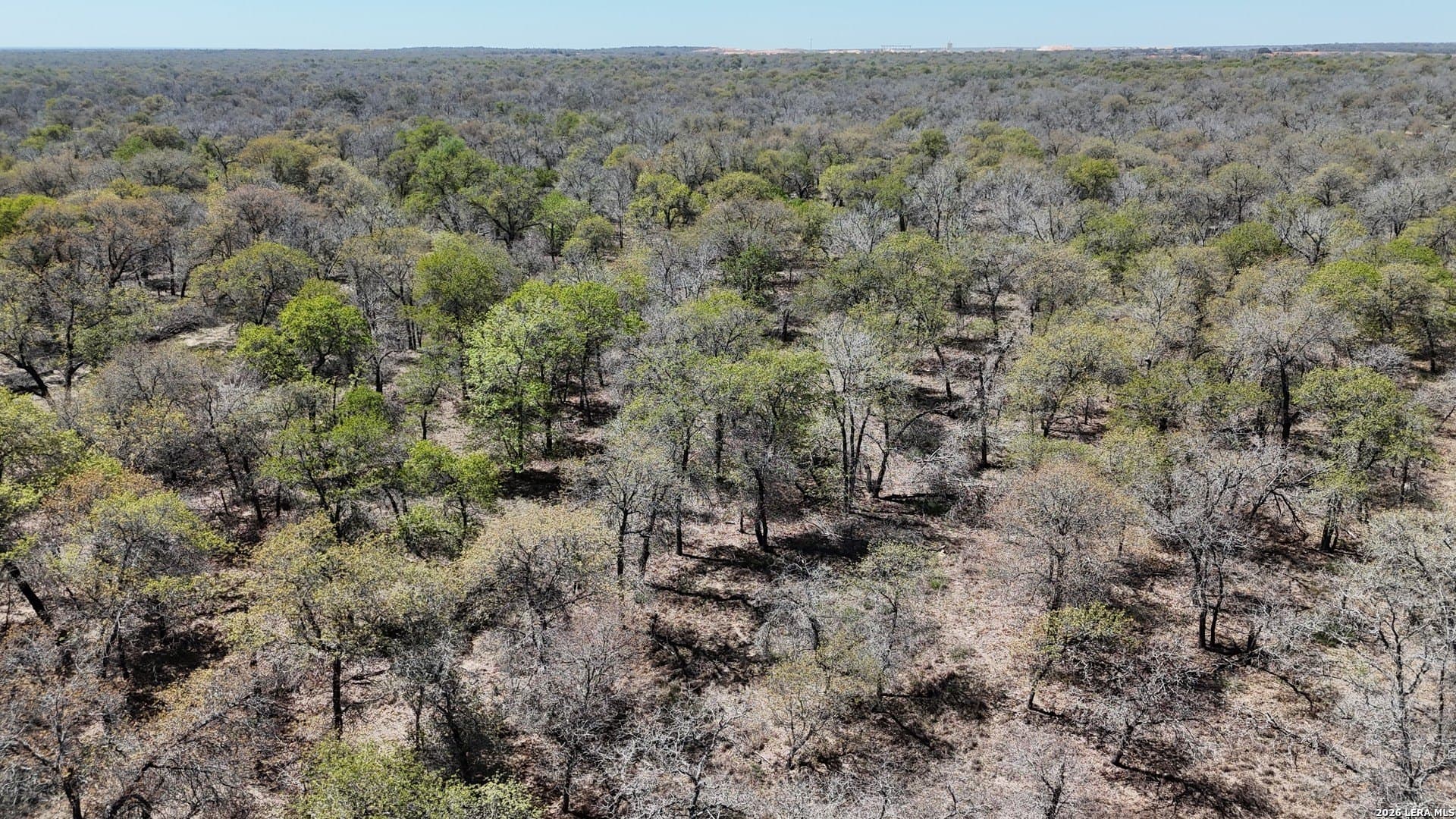 10.16 acres in Atascosa County gallery image 4
