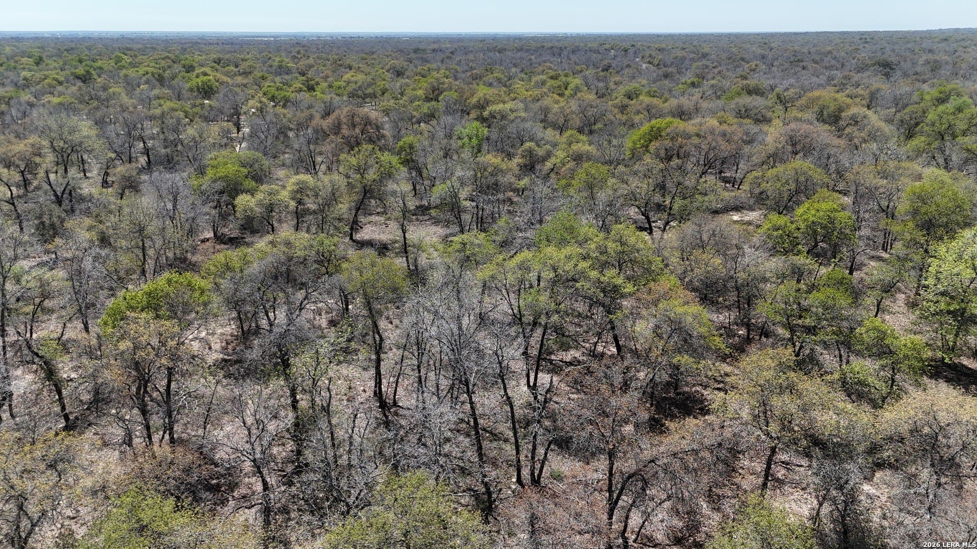 10.16 acres in Atascosa County featured view