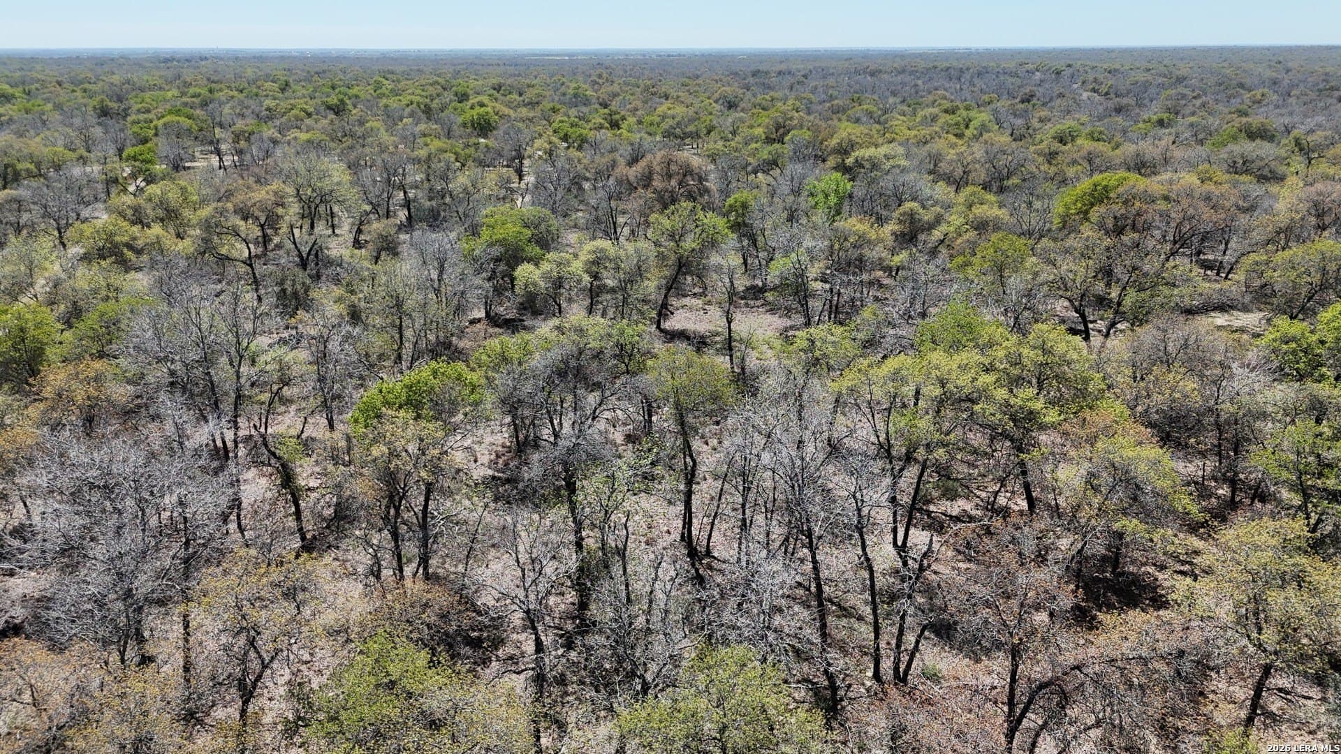 10.16 acres in Atascosa County gallery image 3