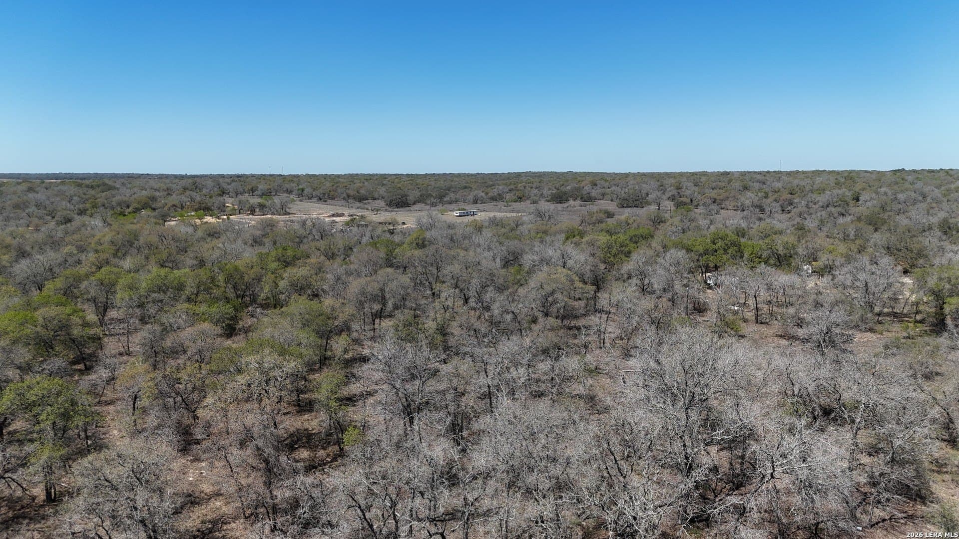 10.16 acres in Atascosa County gallery image 2