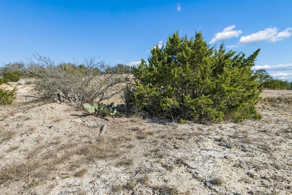 17.82 acres in Gillespie County - photo 7