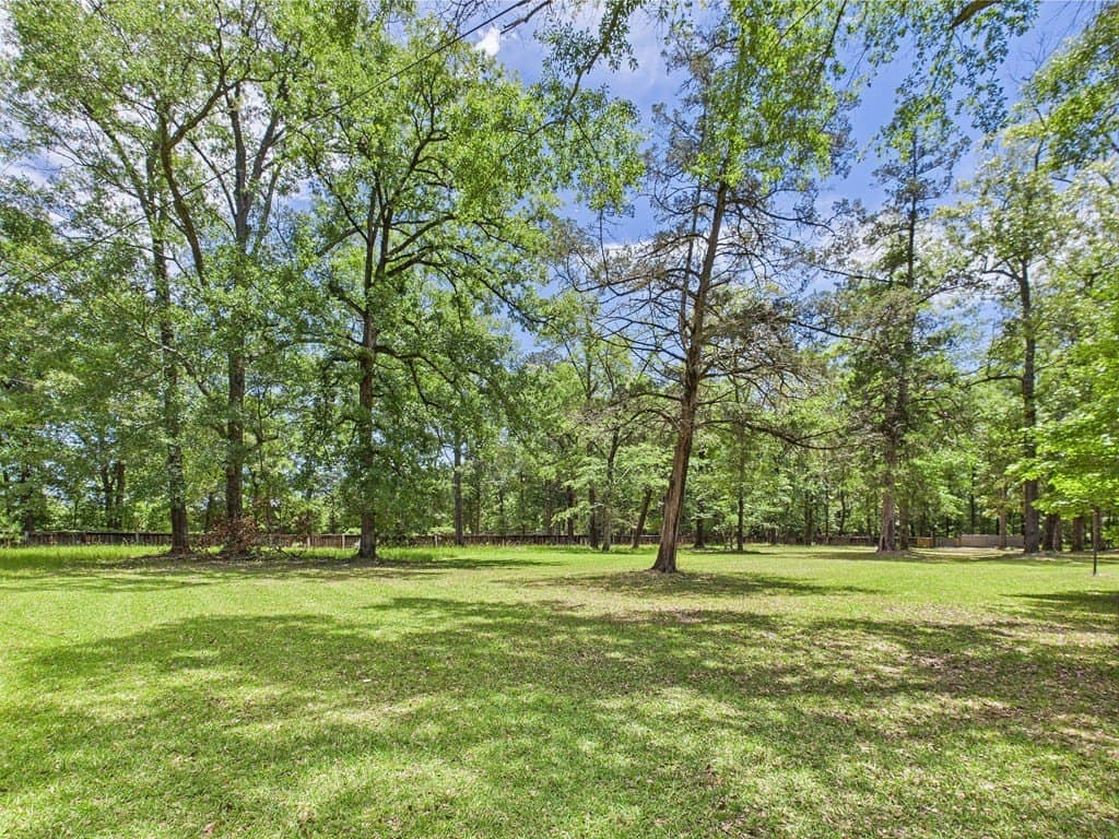 95 acres in Angelina County gallery image 3