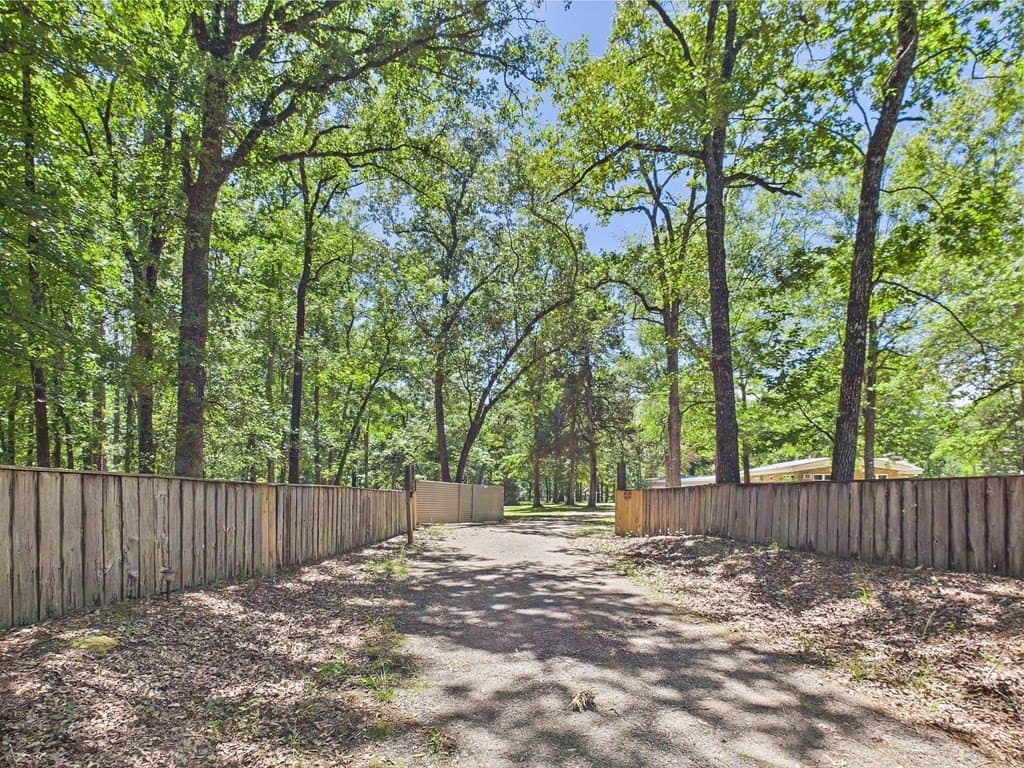 95 acres in Angelina County gallery image 2