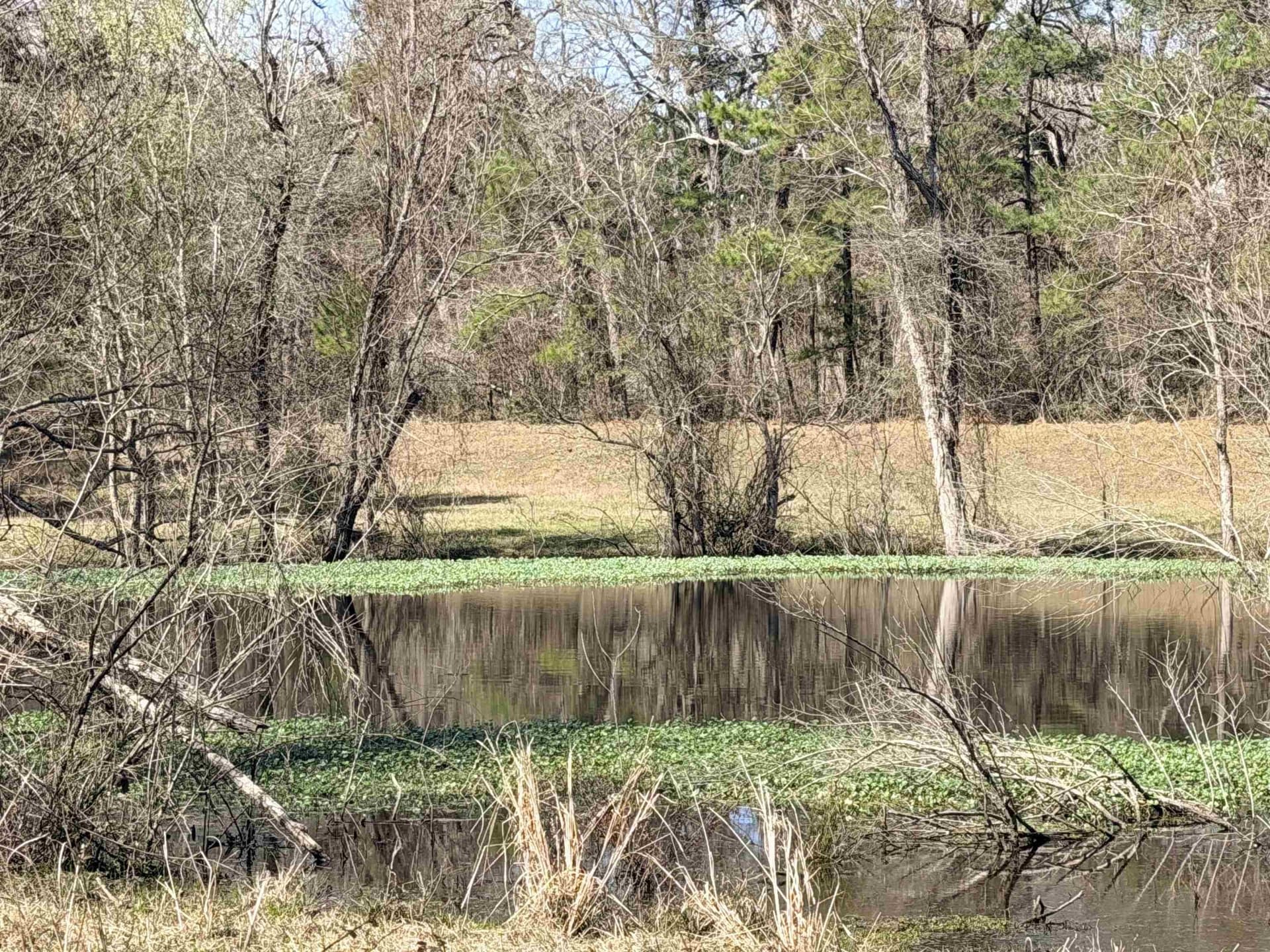 18.54 acres in Texas County