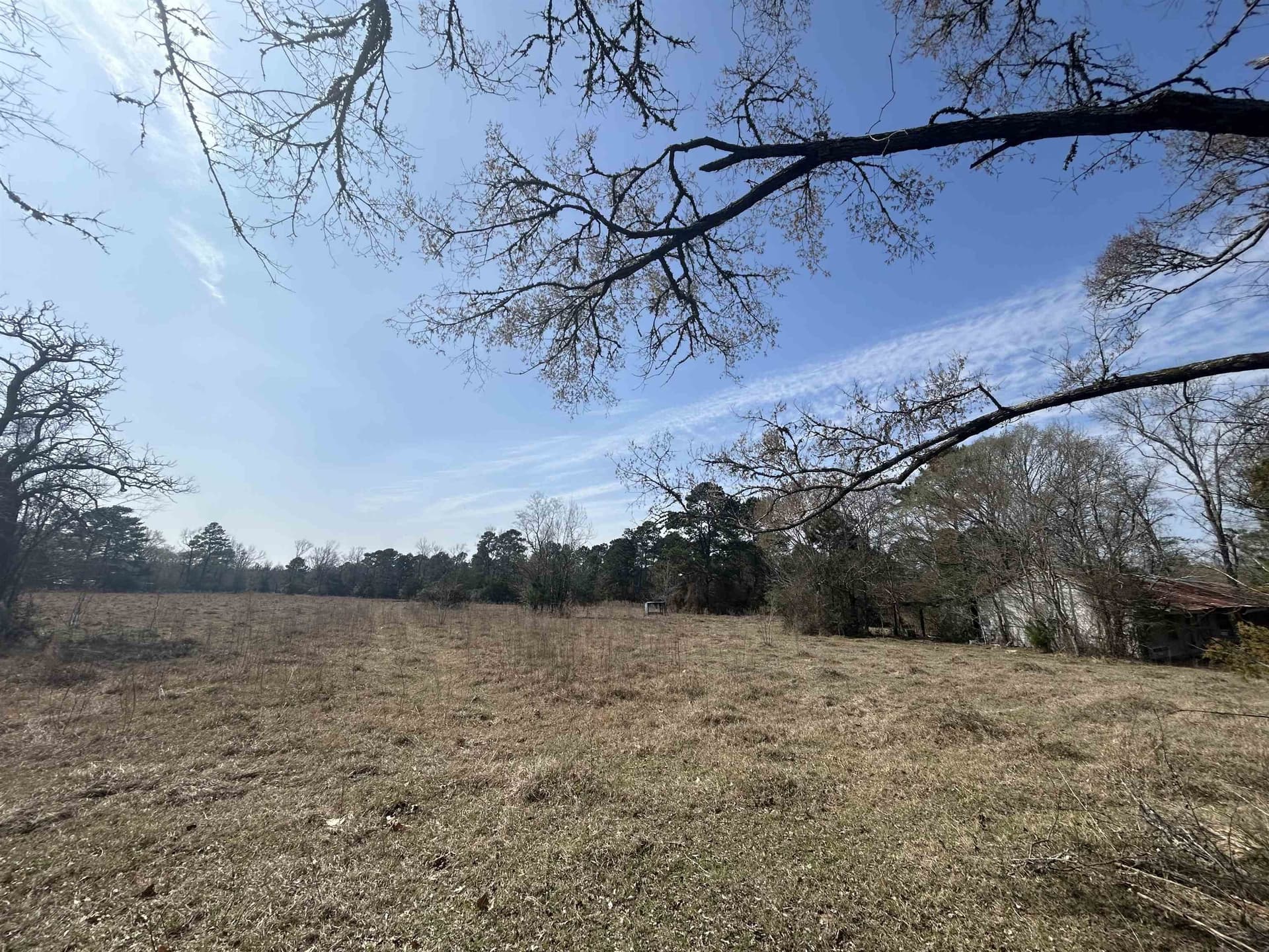 18.54 acres in Texas County gallery image 4