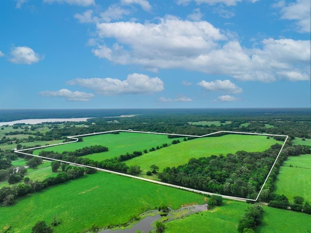10.01 acres in Wood County gallery image 3