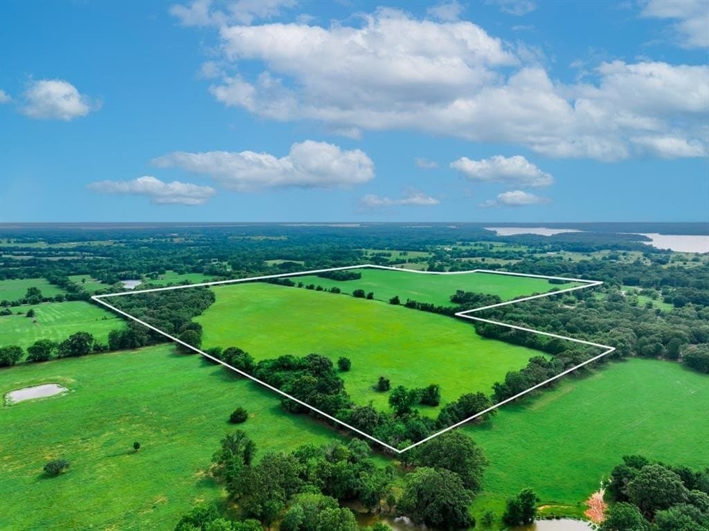10.01 acres in Wood County gallery image 4