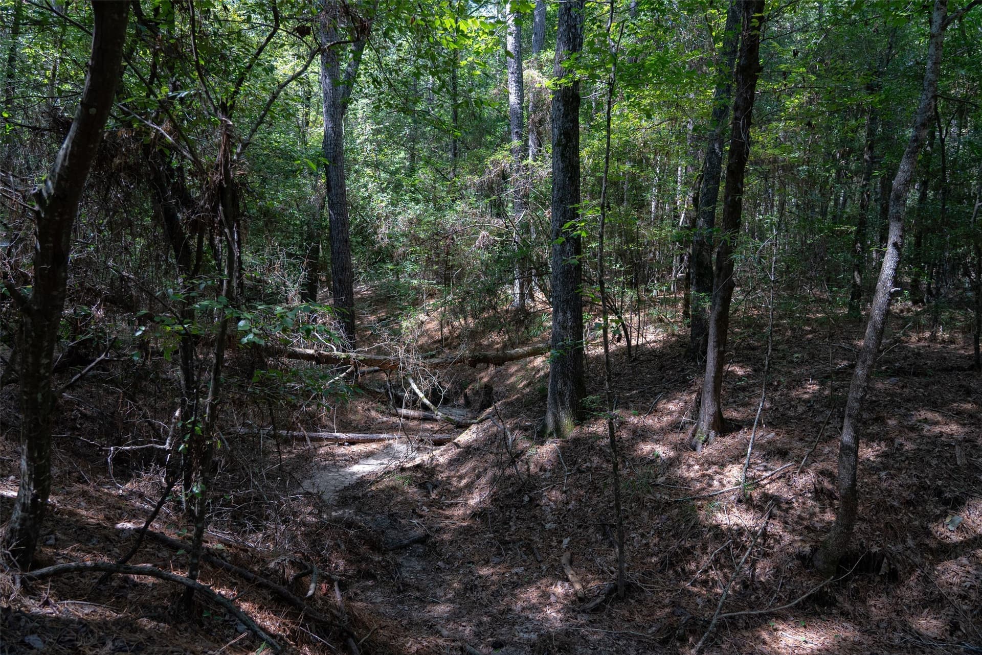 37.3 acres in Houston County - photo 22