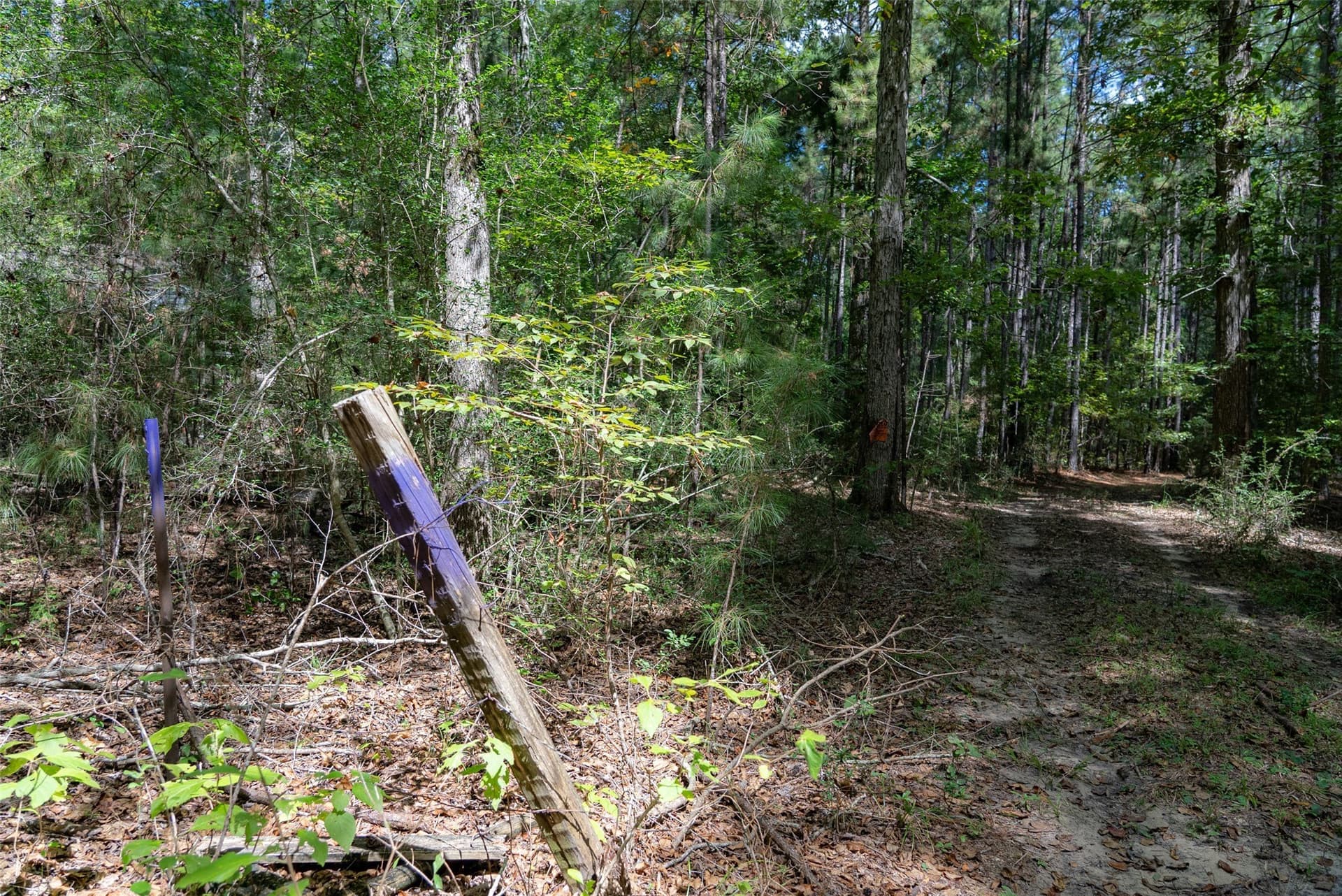 37.3 acres in Houston County - photo 11