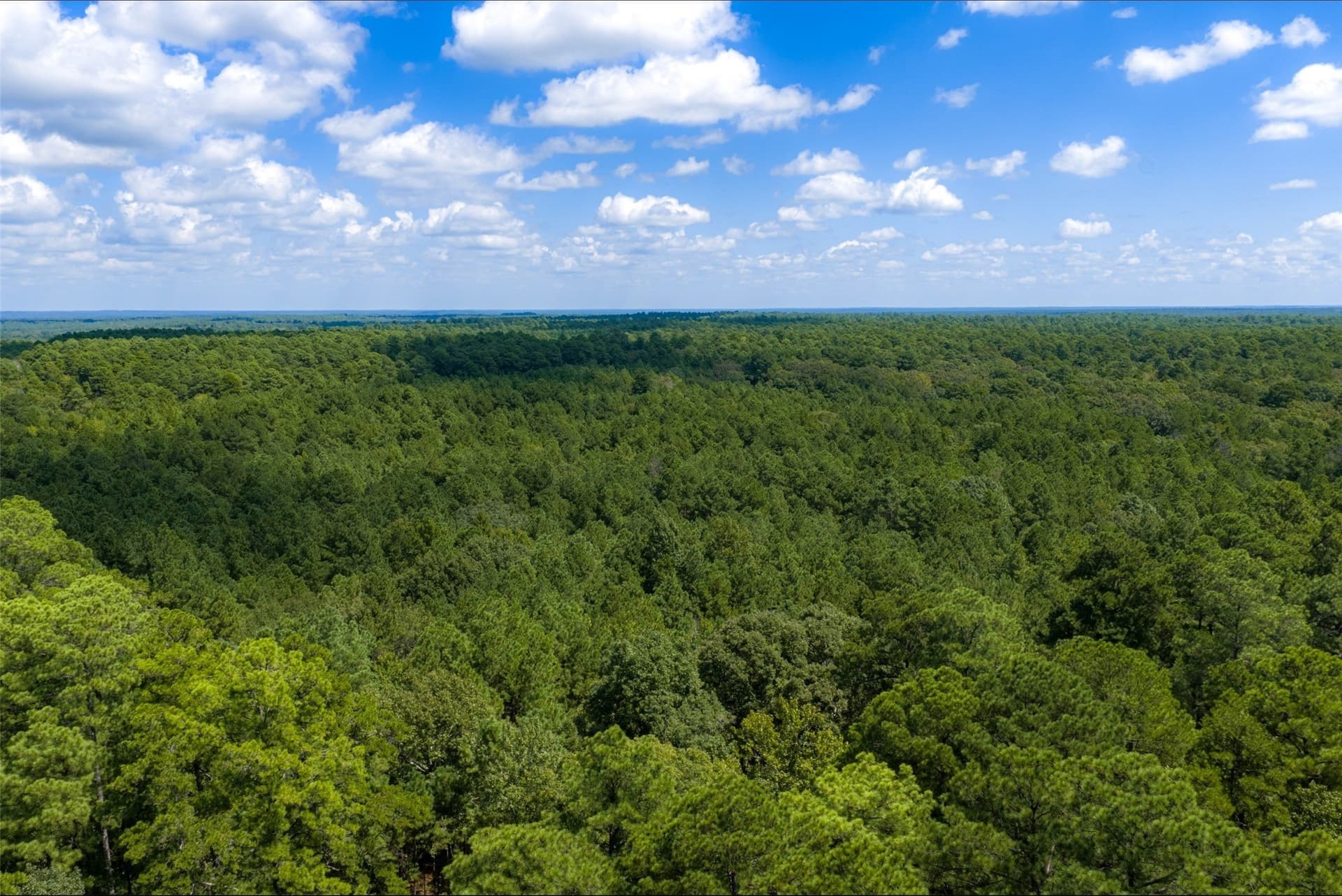 37.3 acres in Houston County - photo 10