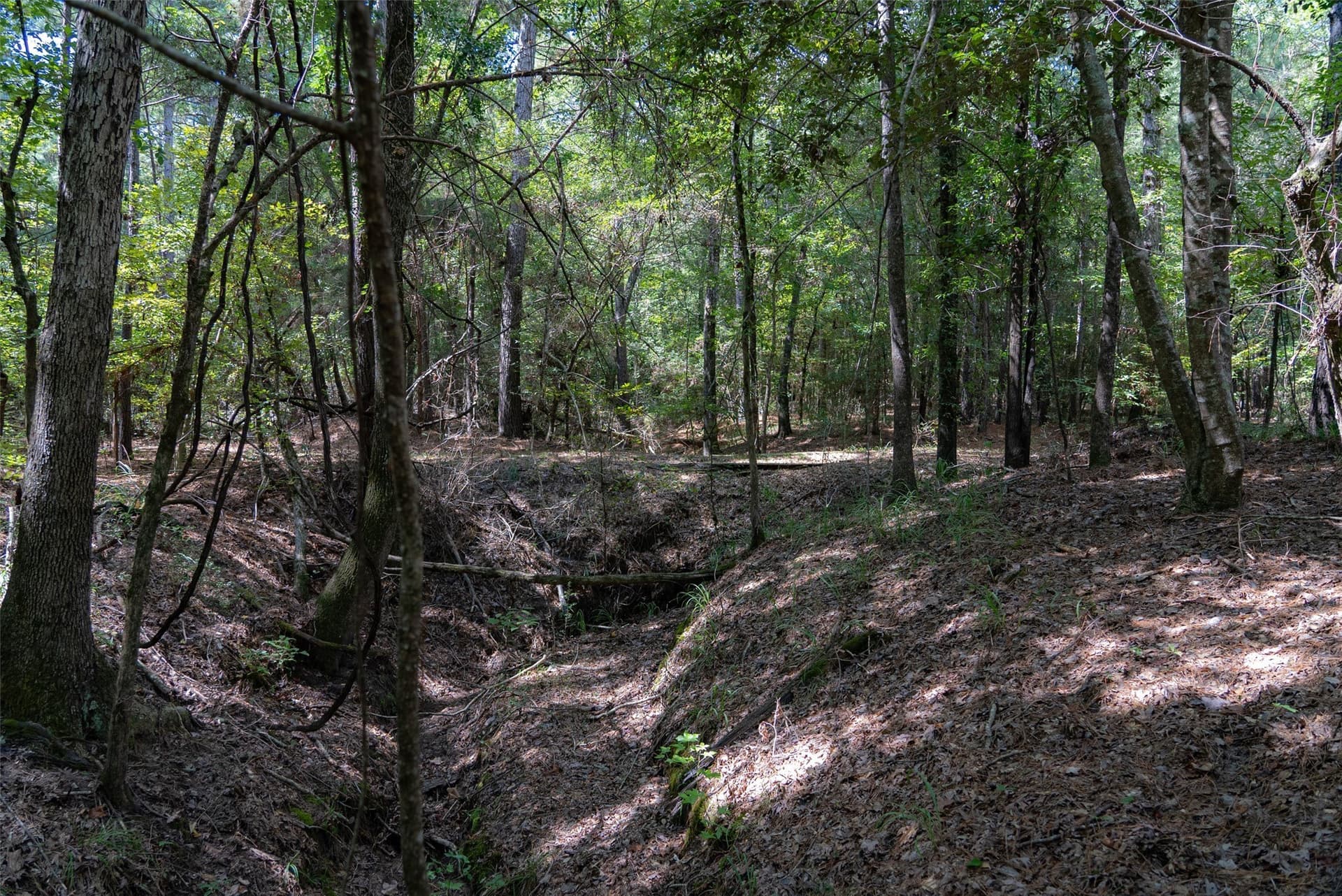 37.3 acres in Houston County - photo 28