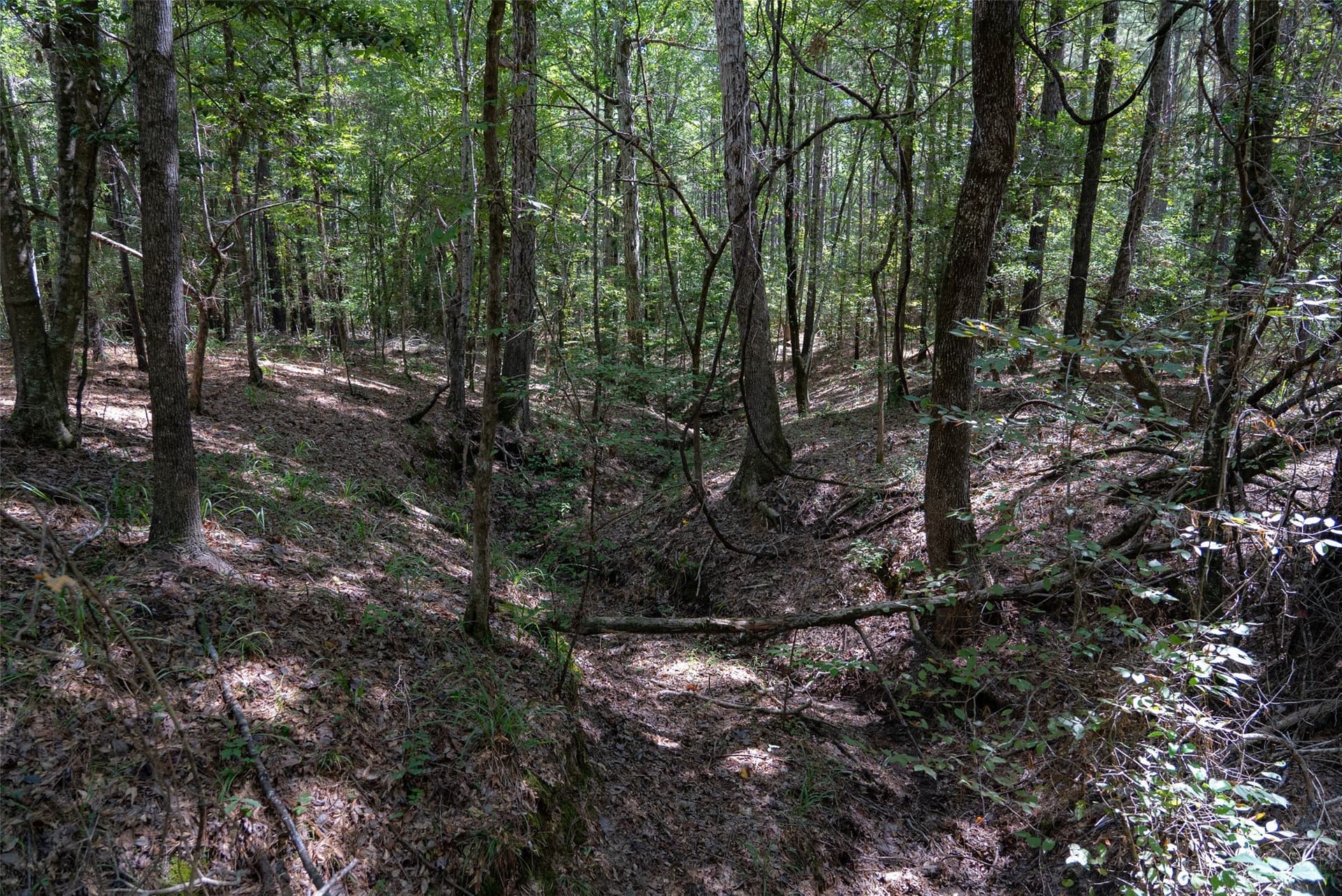 37.3 acres in Houston County - photo 31