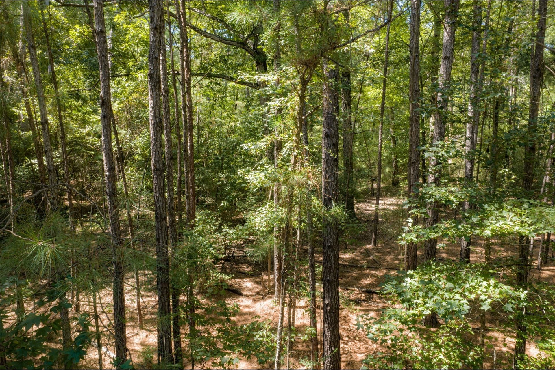 37.3 acres in Houston County - photo 35