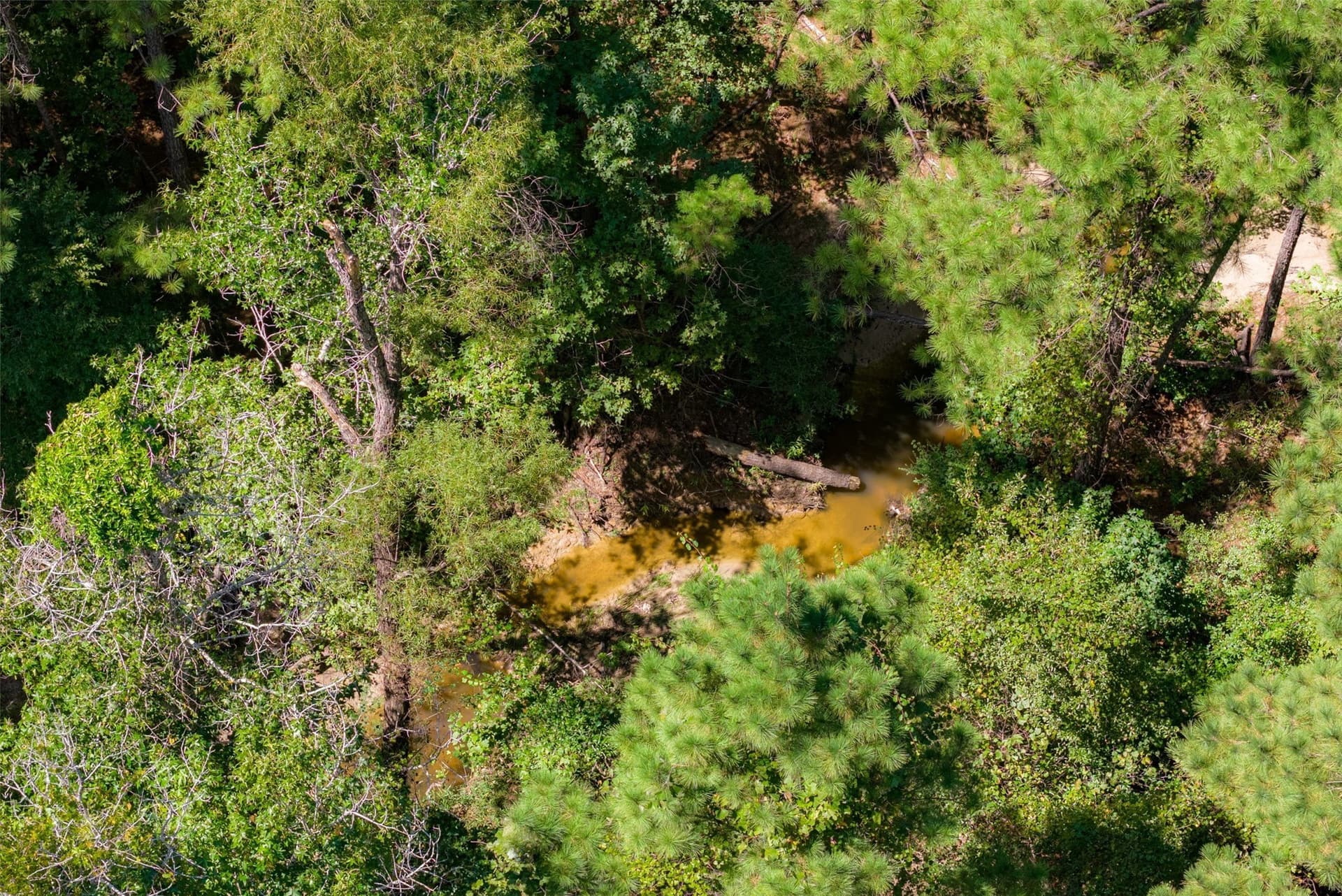37.3 acres in Houston County - photo 4