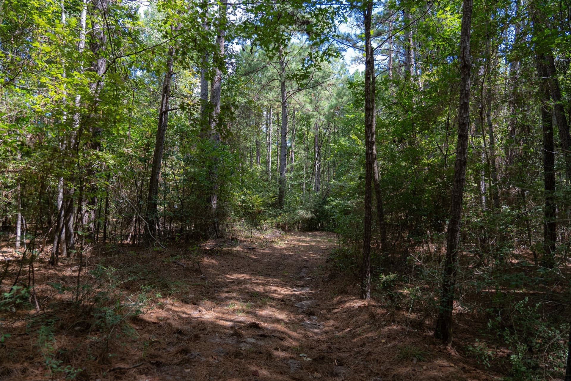 37.3 acres in Houston County - photo 6