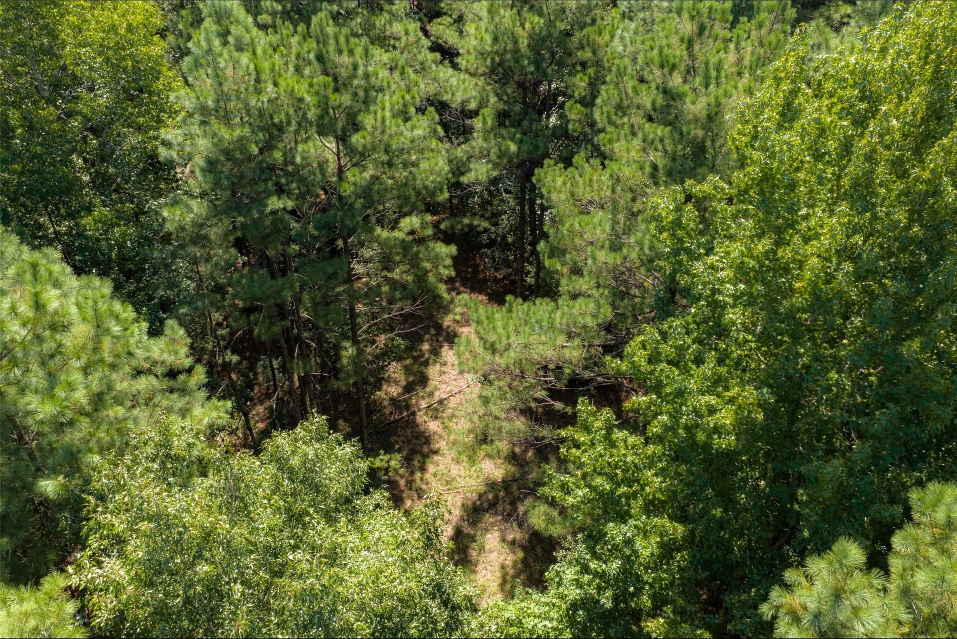 37.3 acres in Houston County - photo 36