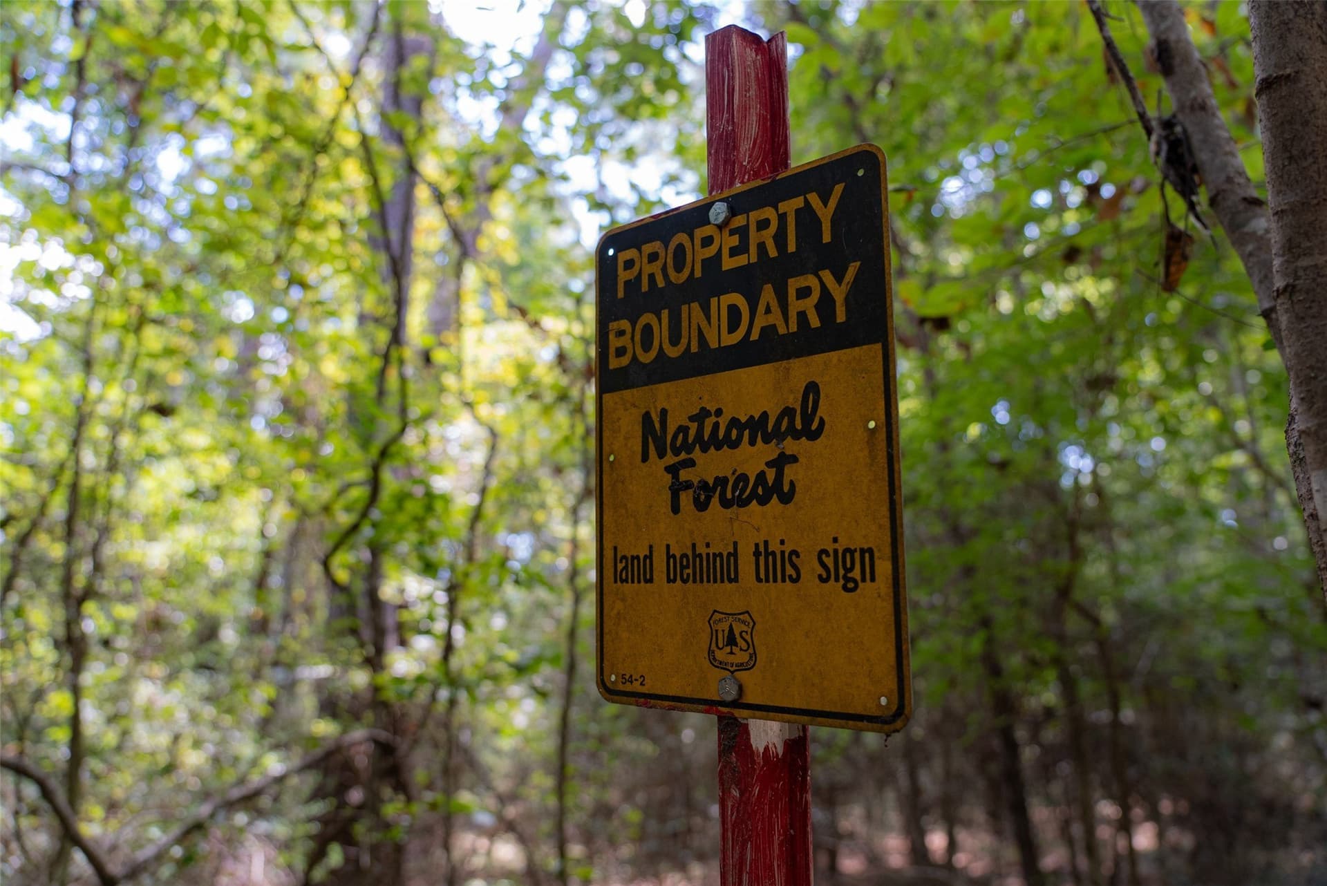 37.3 acres in Houston County - photo 5