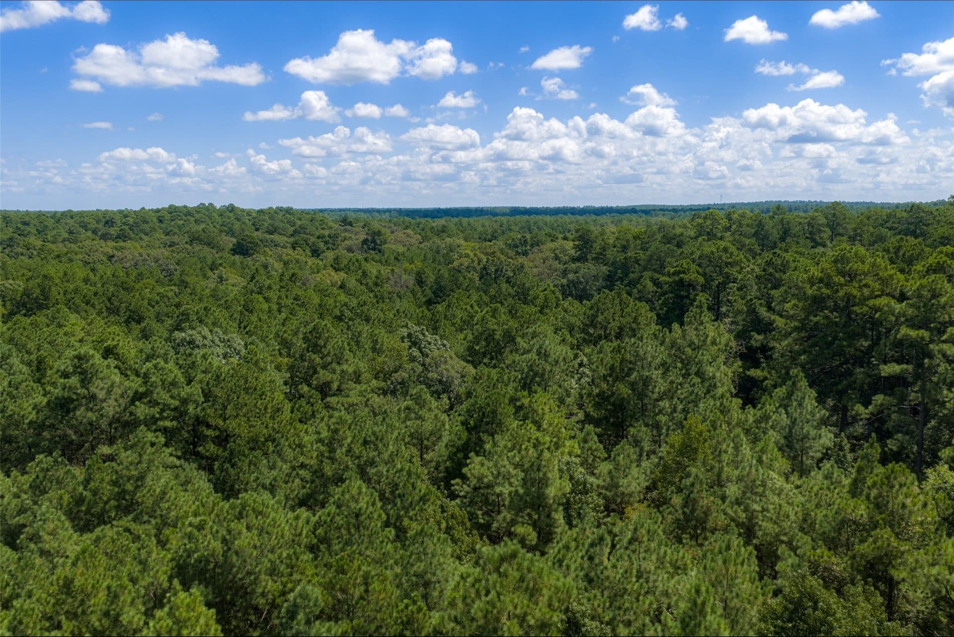 37.3 acres in Houston County - photo 37