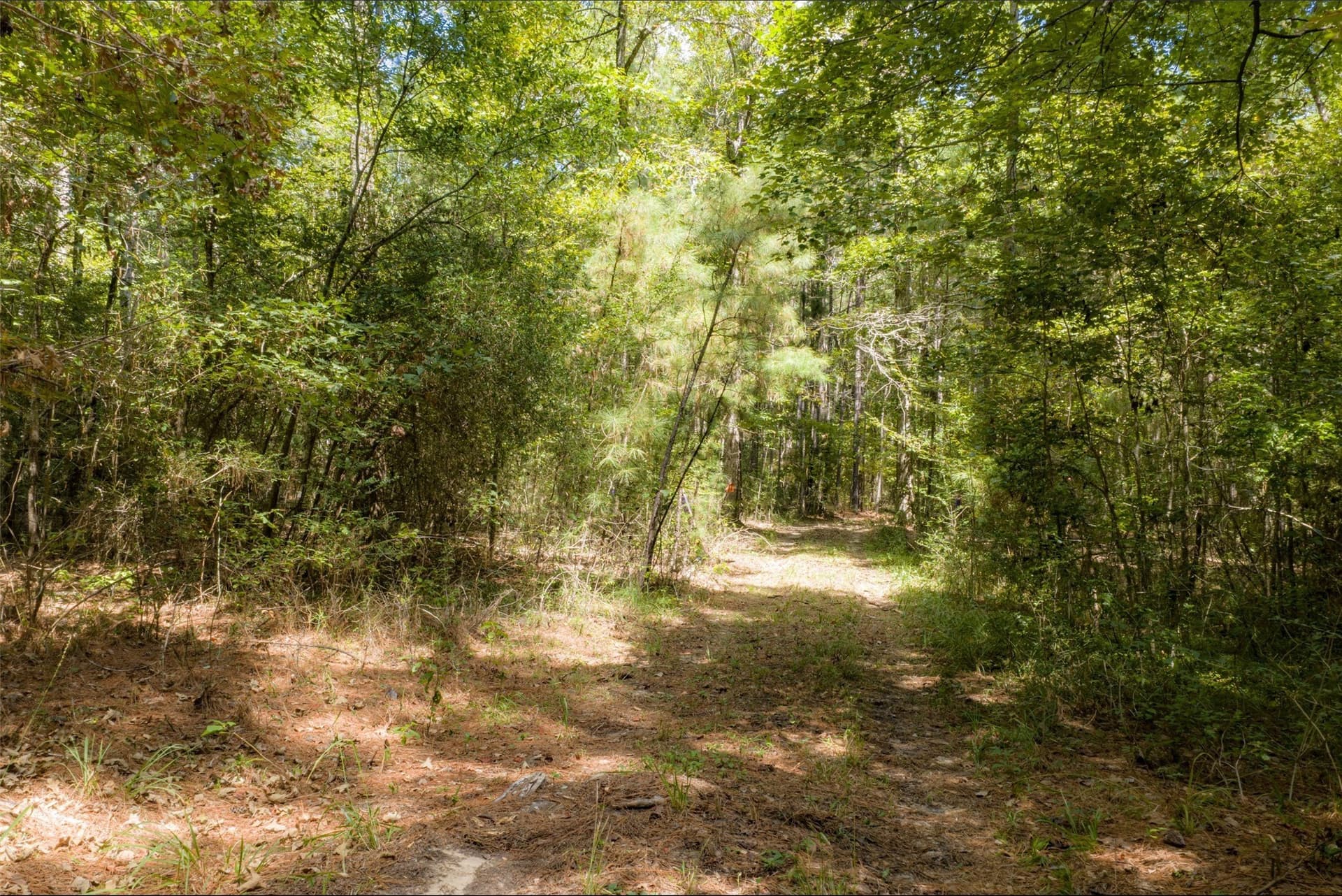 37.3 acres in Houston County - photo 2