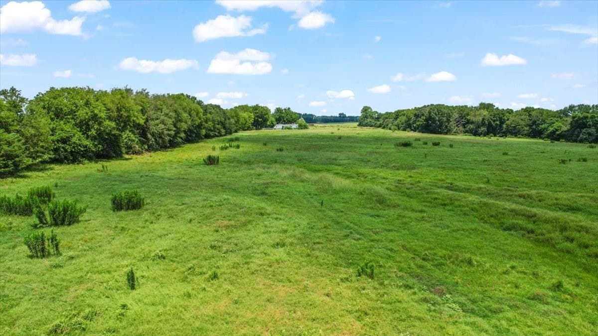 20 acres in Hopkins County - photo 3