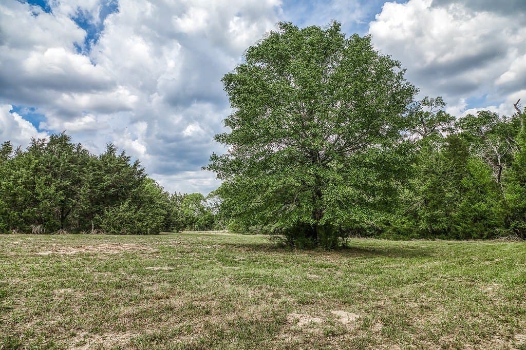 32.1 acres in Washington County gallery image 4