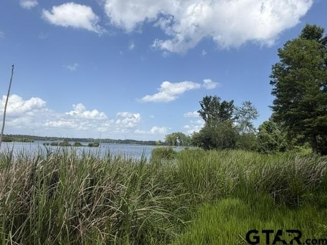 1.63 acres in Henderson County gallery image 4