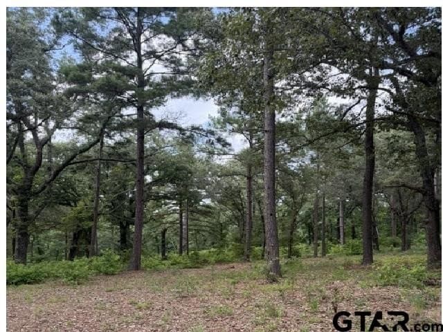 1.63 acres in Henderson County featured view