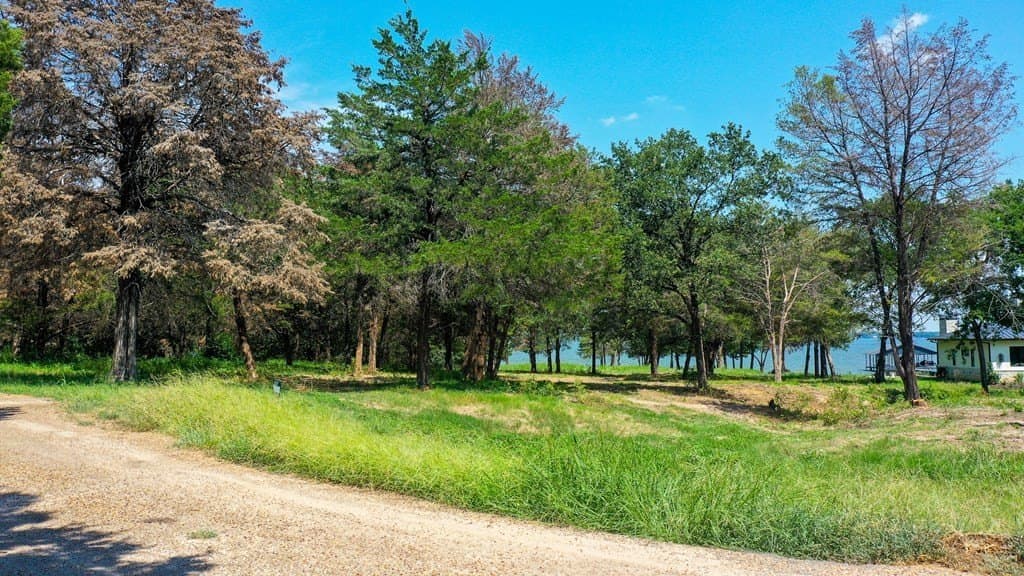 2.69 acres in Henderson County - photo 6